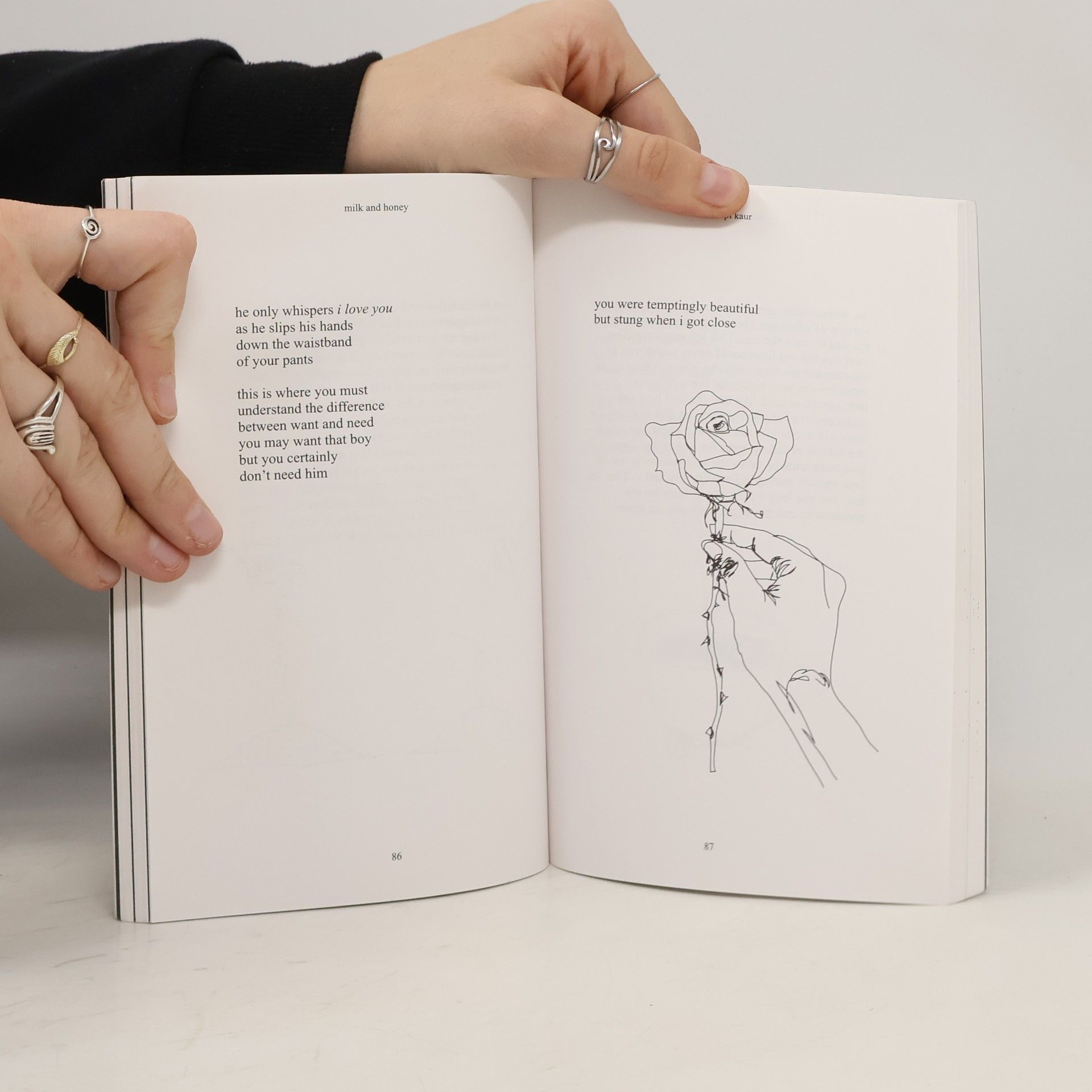 Rupi Kaur Milk and Honey