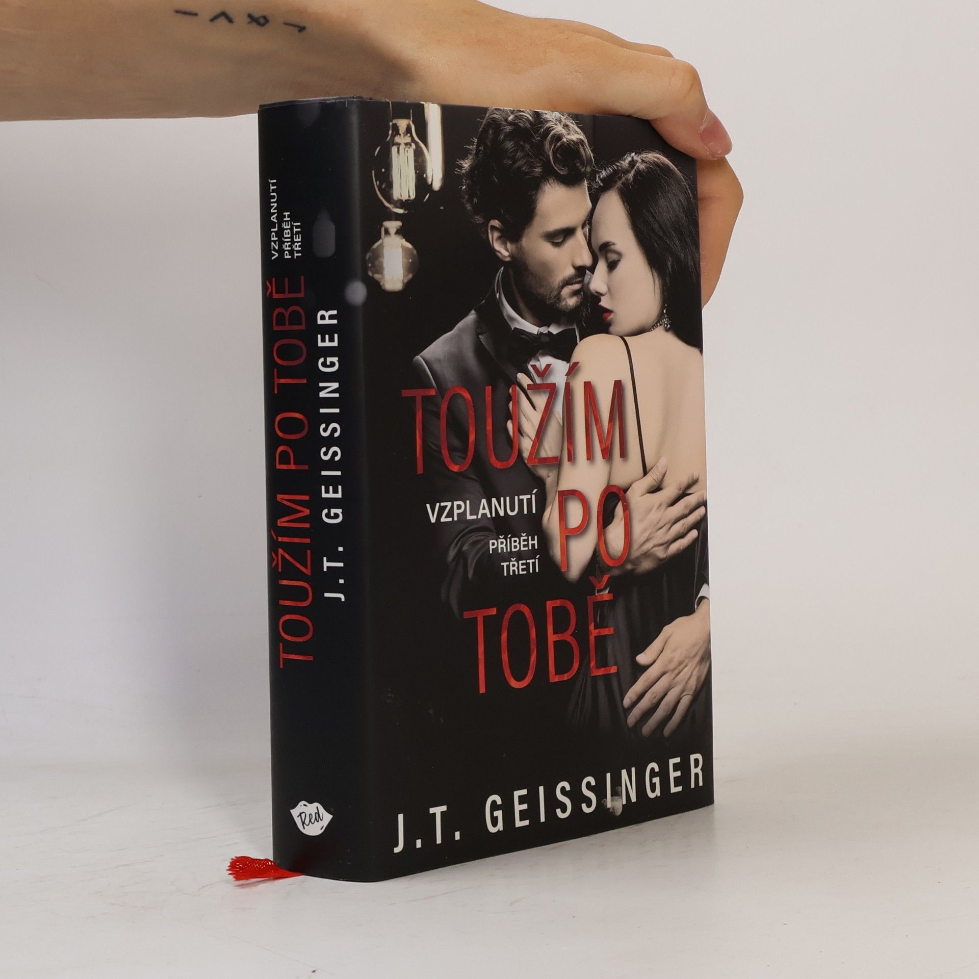 J. T. Geissinger Toužím po tobě