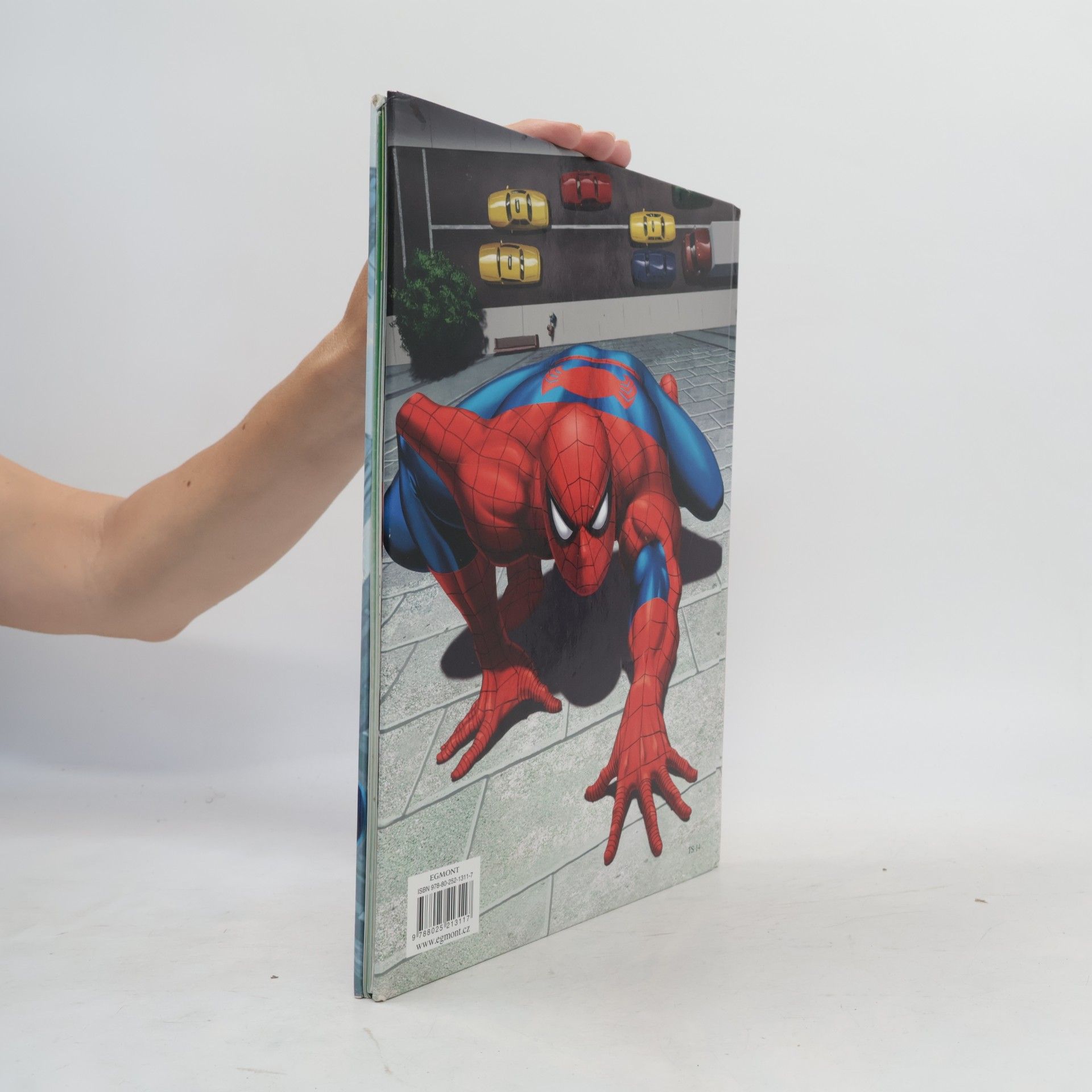 Autores varios Spider-Man: Knížka na rok 2010