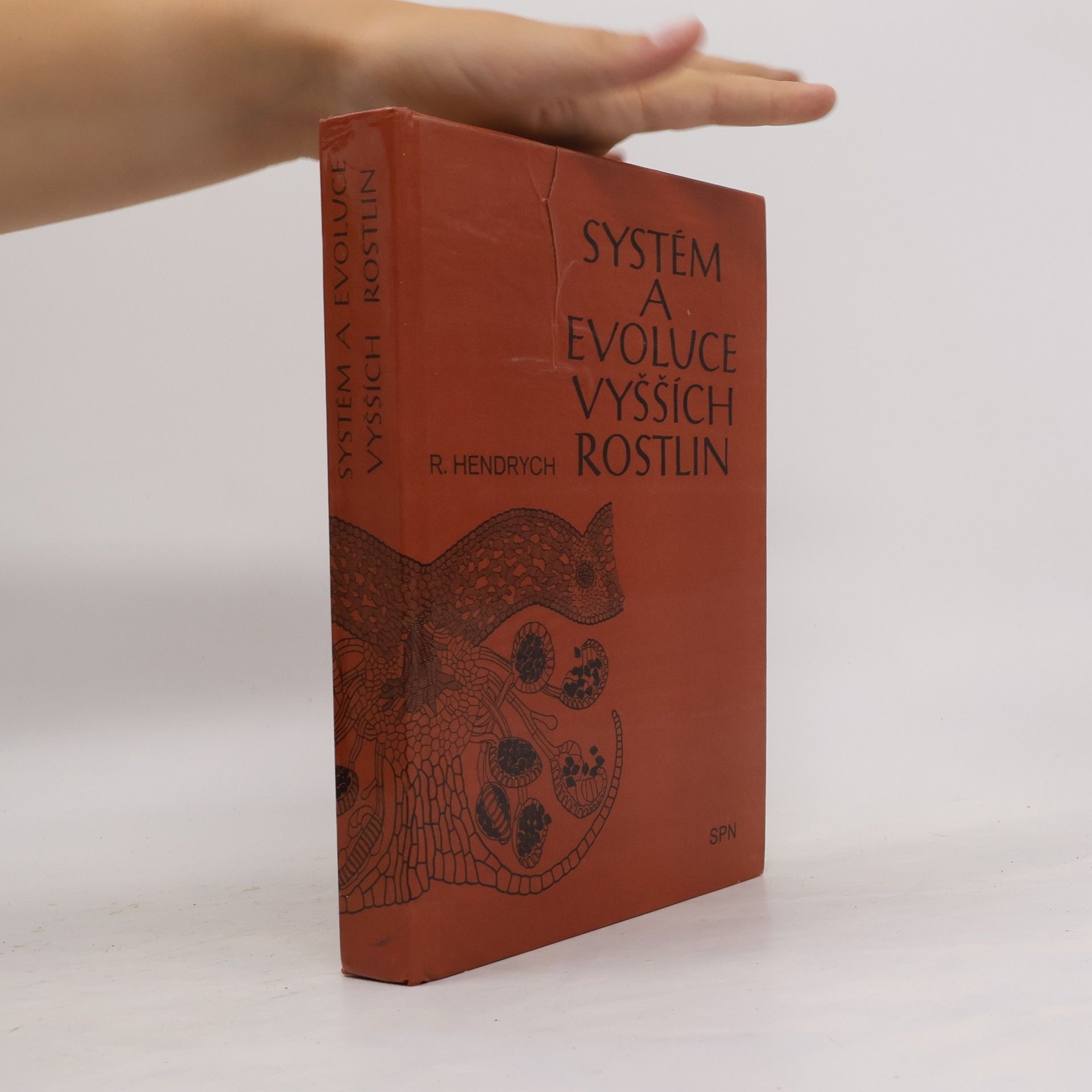 Radovan Hendrych Systém a evoluce vyšších rostlin