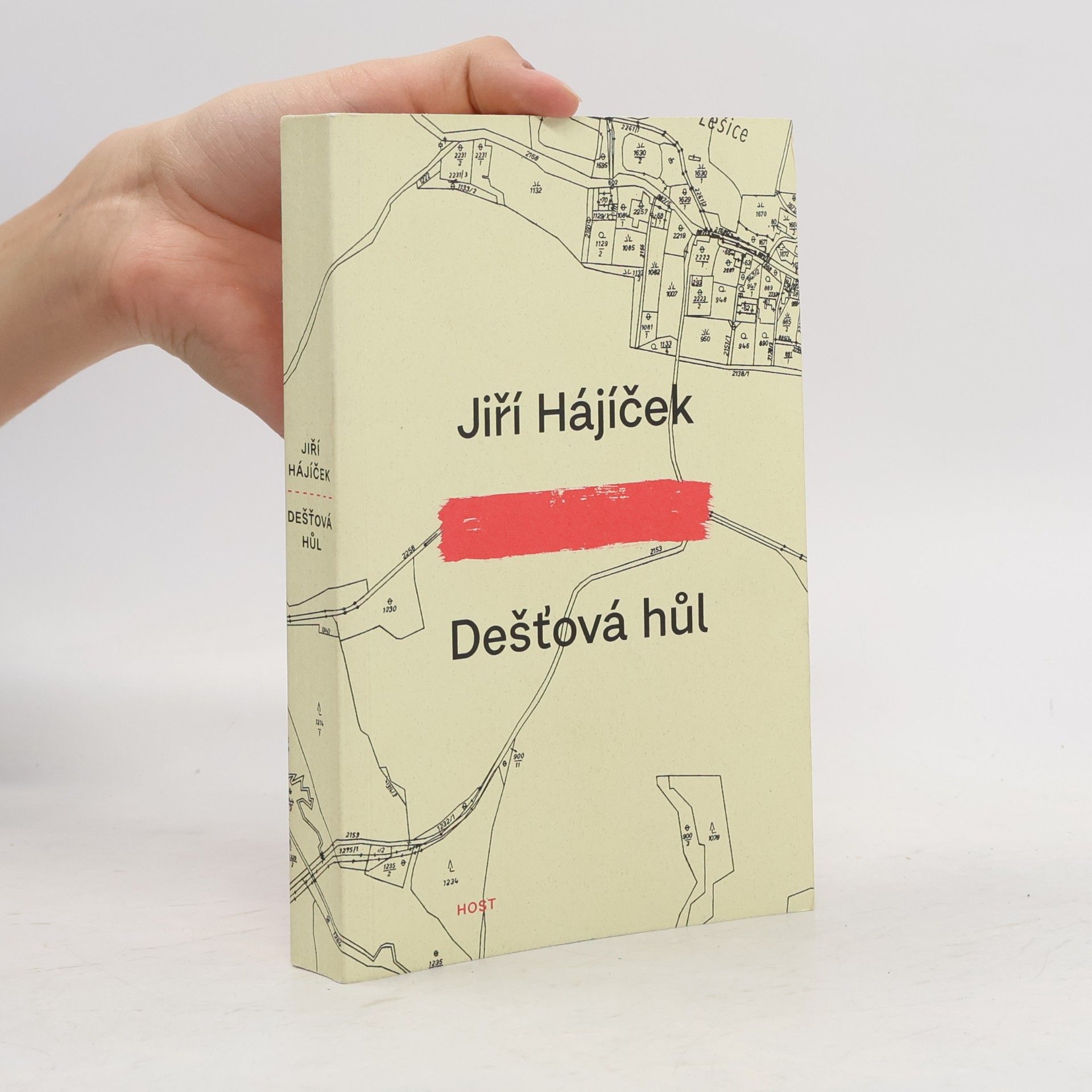 Jiří Hájíček Dešťová hůl