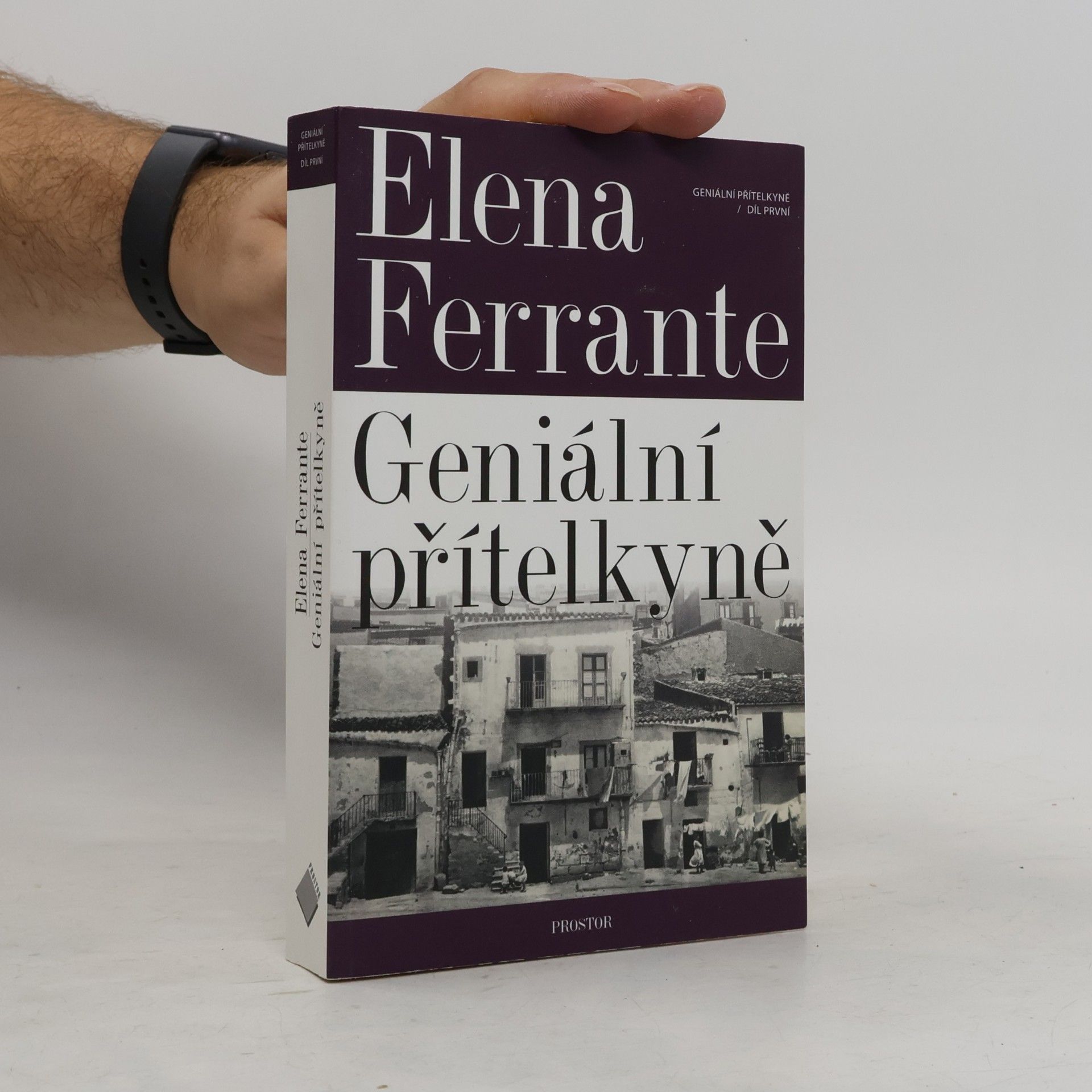 Elena Ferrante Geniální přítelkyně 1. Dětství a dospívání