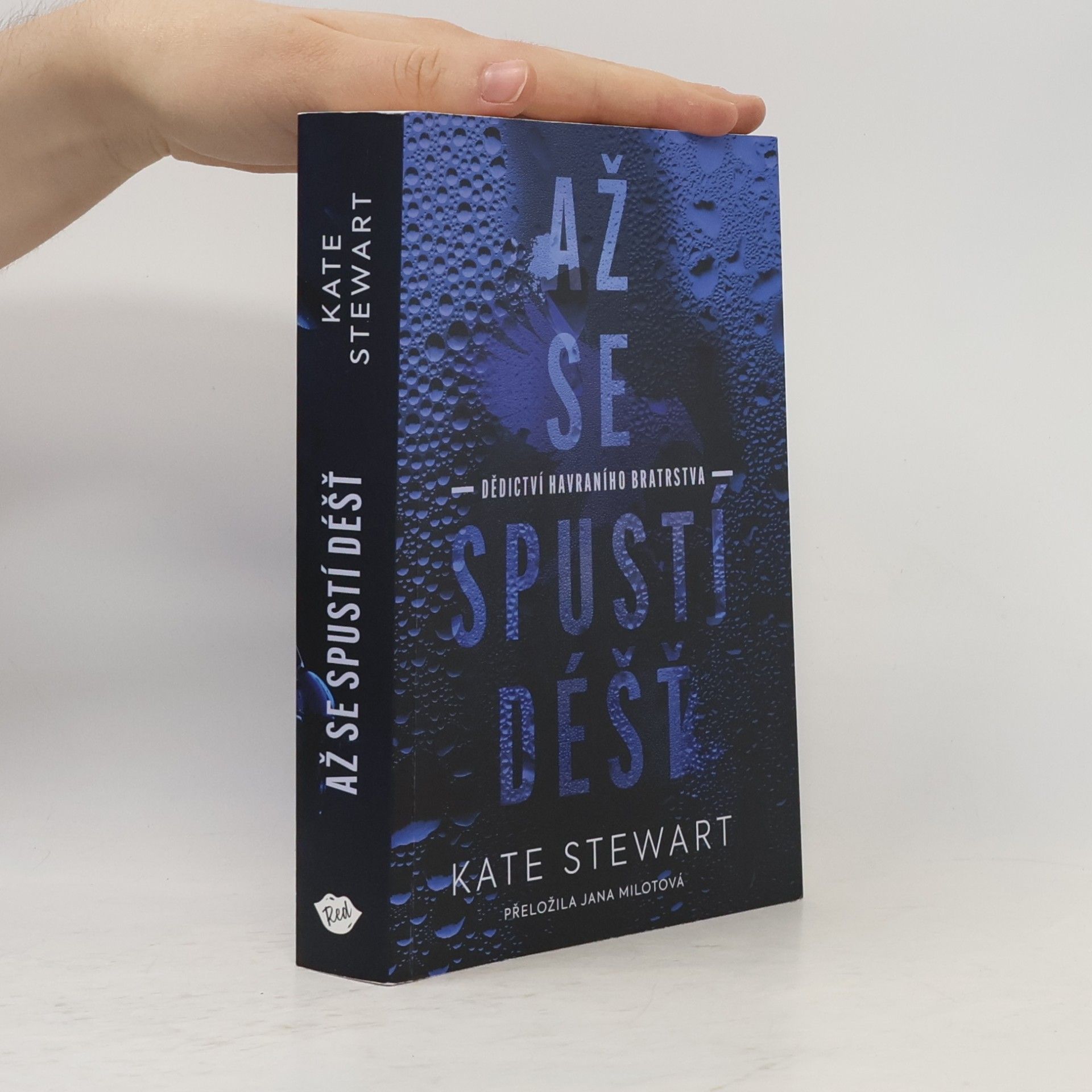 Kate Stewart Až se spustí déšť