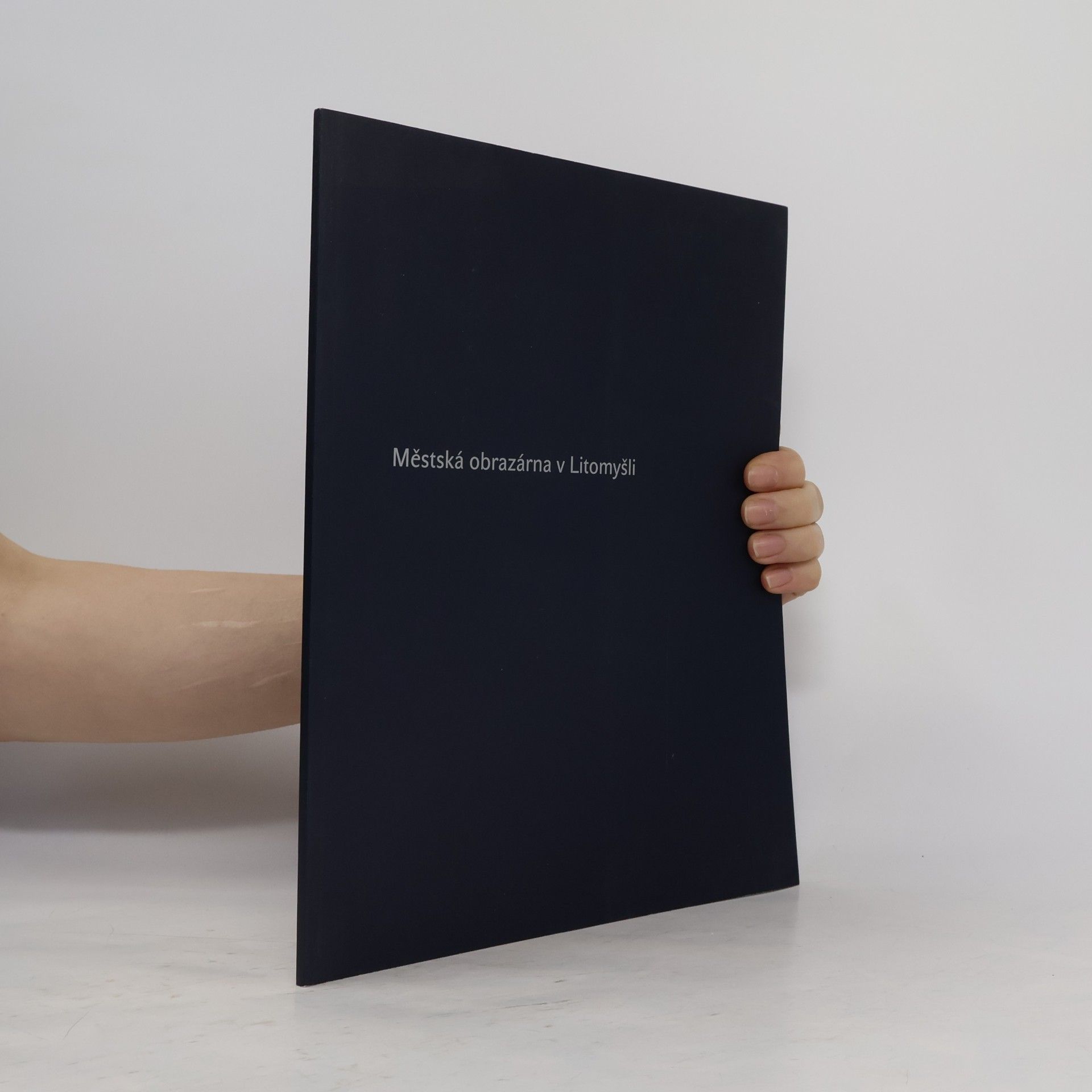 Helena Zemanová Městská obrazárna v Litomyšli : katalog stálé expozice výtvarného umění Muzea a galerie Litomyšl
