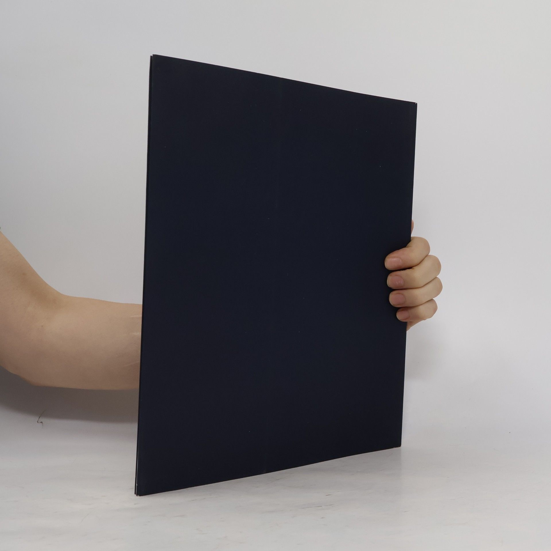 František Dvořák Městská obrazárna v Litomyšli : katalog stálé expozice výtvarného umění Muzea a galerie Litomyšl