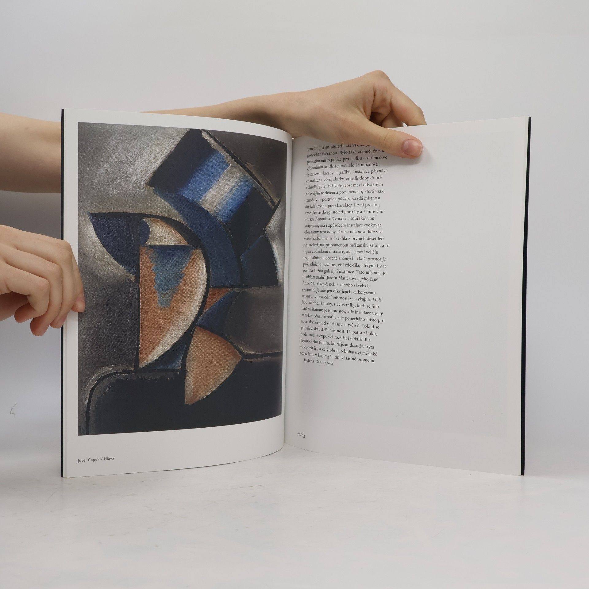 František Dvořák Městská obrazárna v Litomyšli : katalog stálé expozice výtvarného umění Muzea a galerie Litomyšl