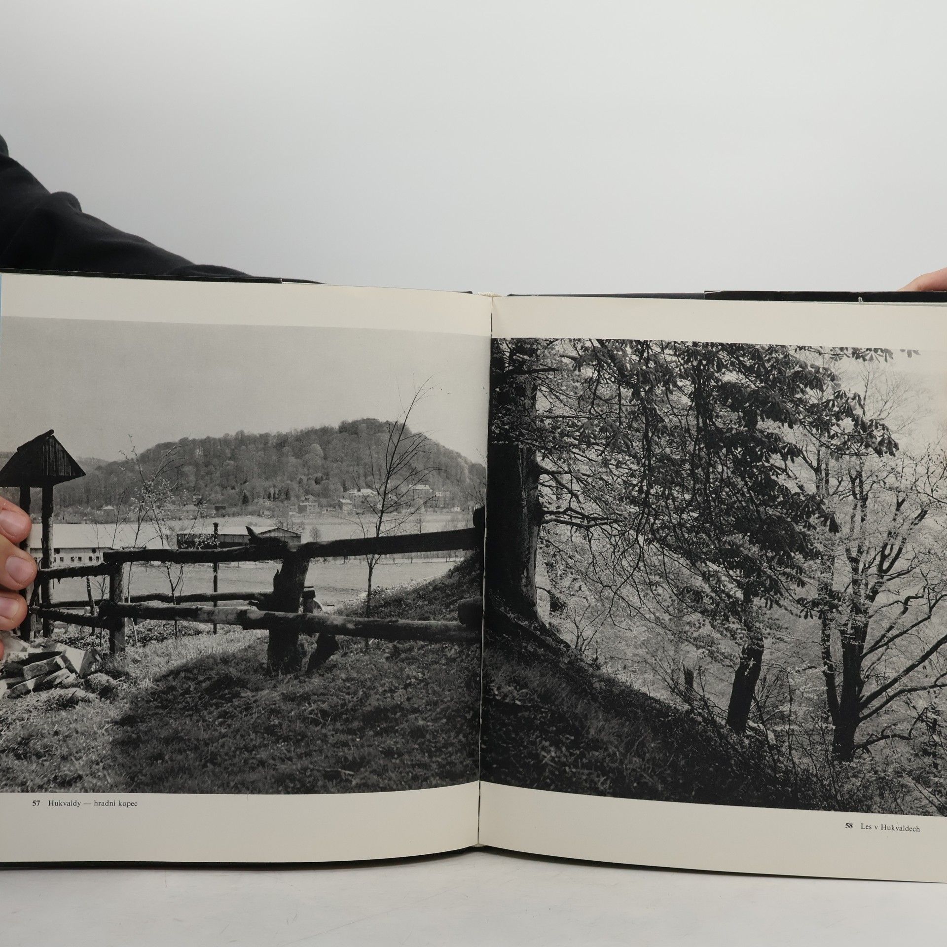 Antonín Gribovský Ostravsko ve fotografii