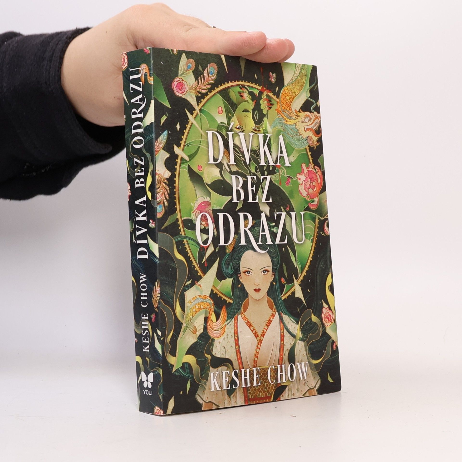Dívka bez odrazu