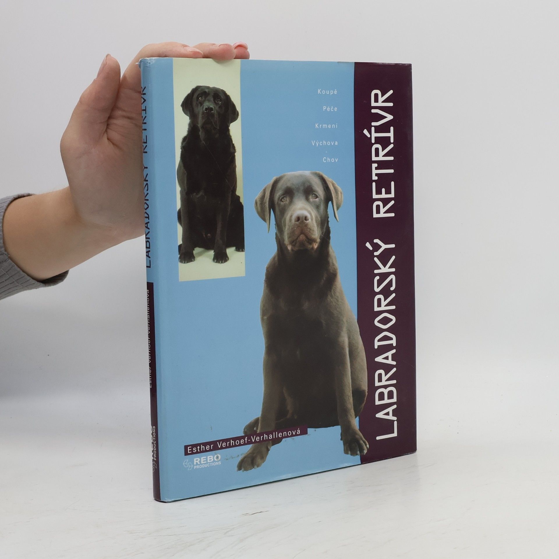 Berry Verhoef Labradorský retrívr