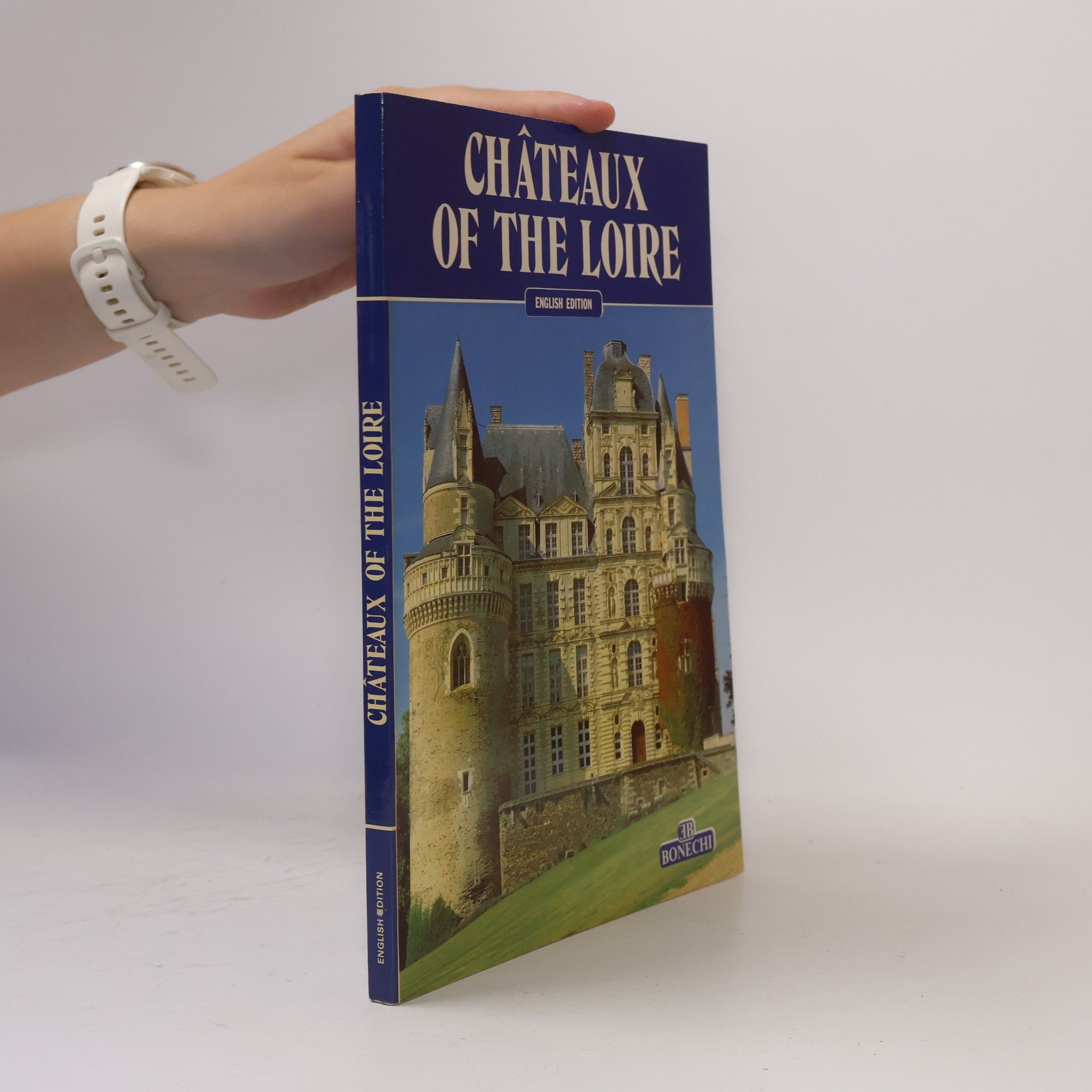 Collectif d'auteurs Châteaux of the Loire