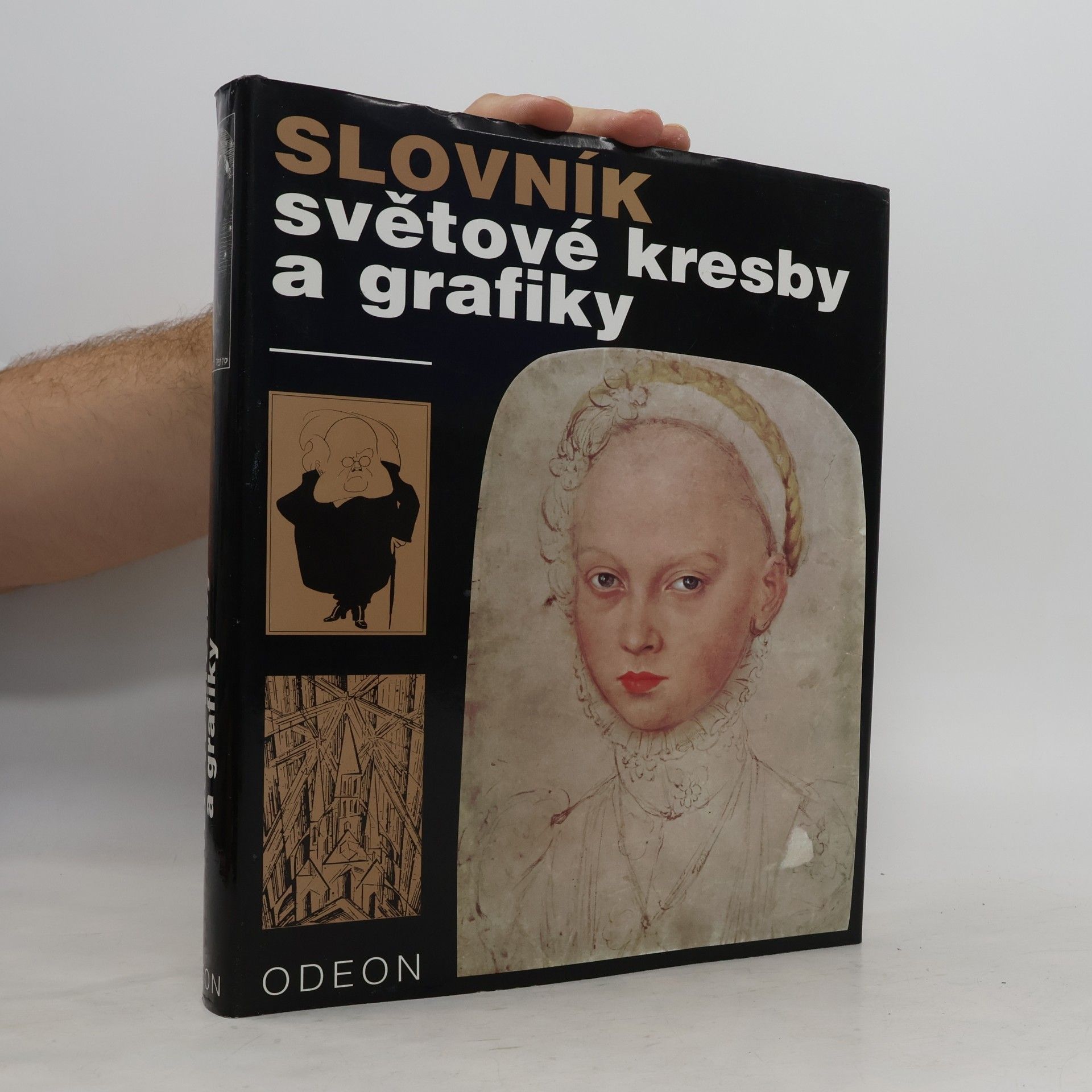 Collectif d'auteurs Slovník světové kresby a grafiky