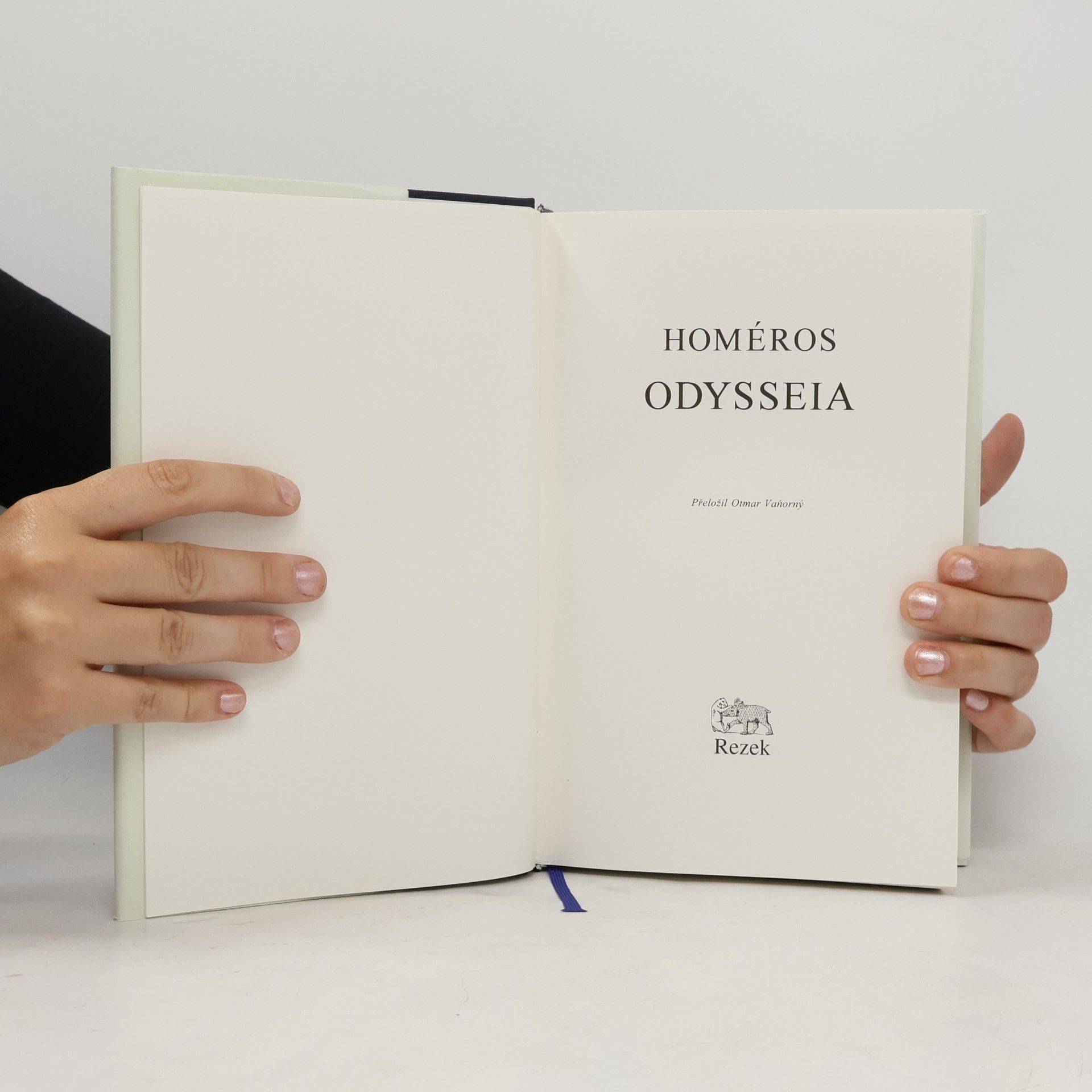 Homér Odysseia