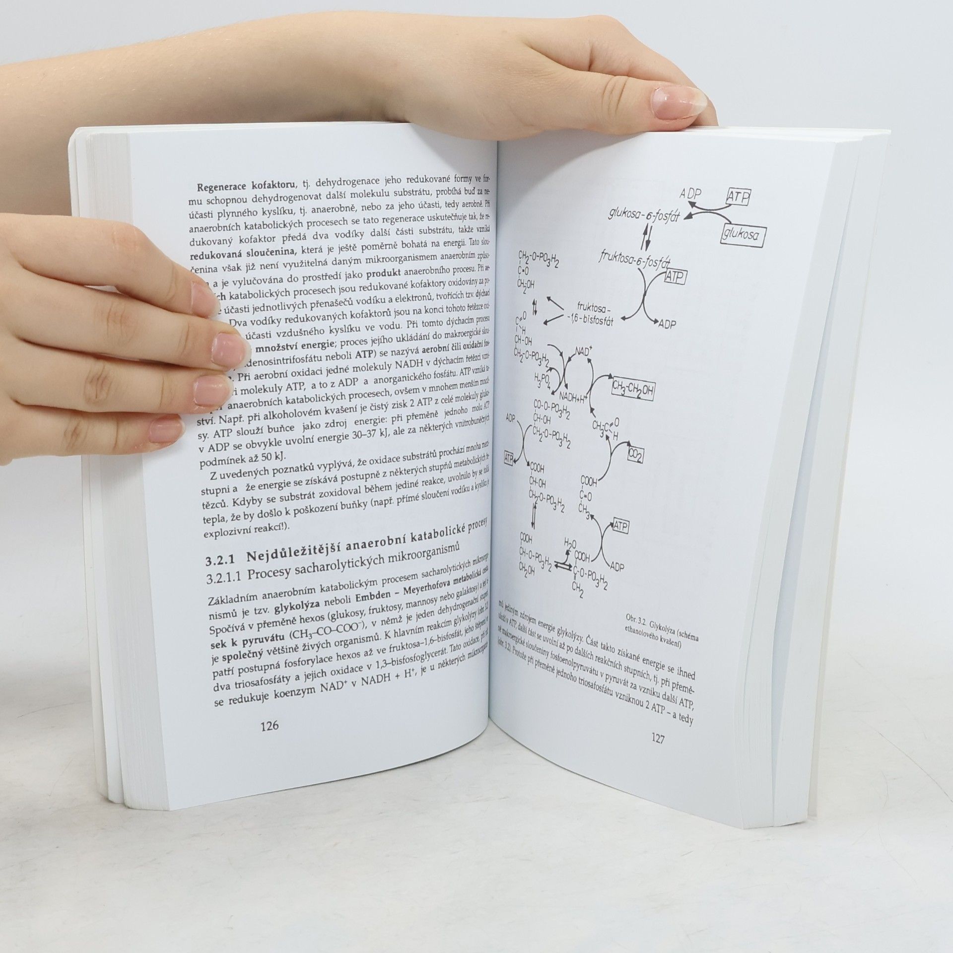 Ludmila Šilhánková Mikrobiologie pro potravináře a biotechnology