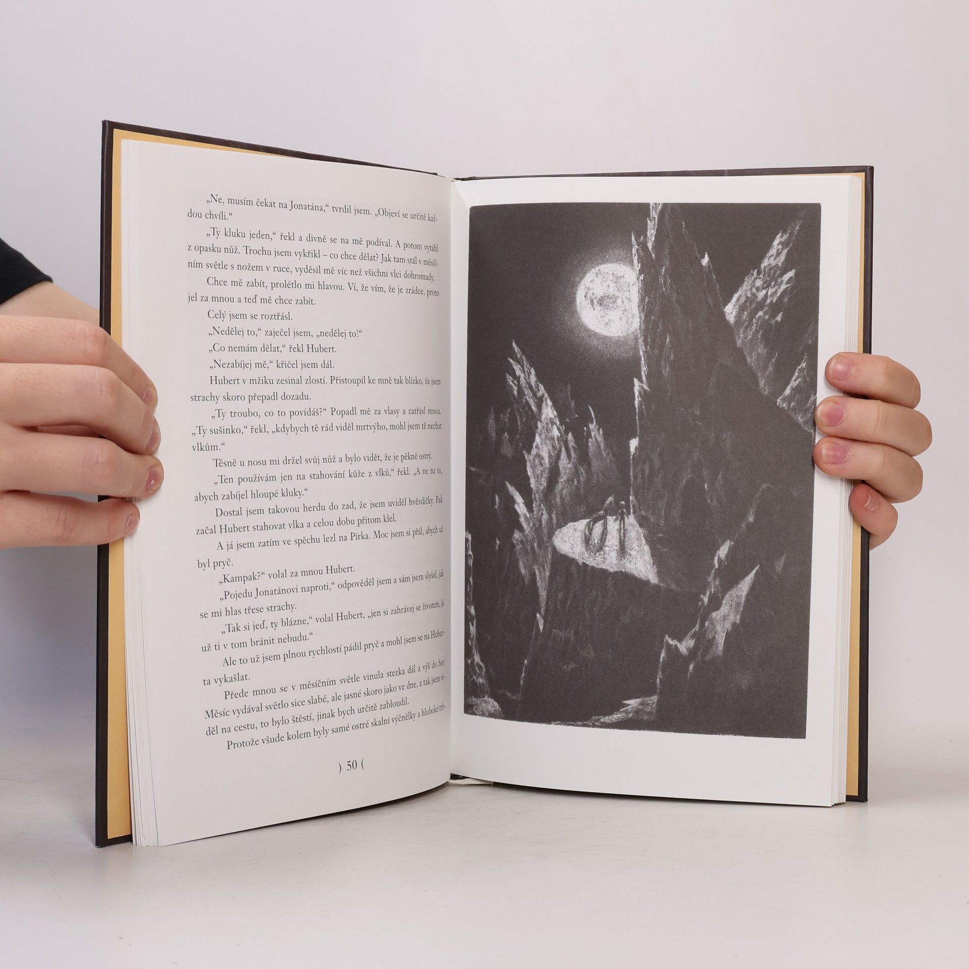 Astrid Lindgren Bratři Lví srdce