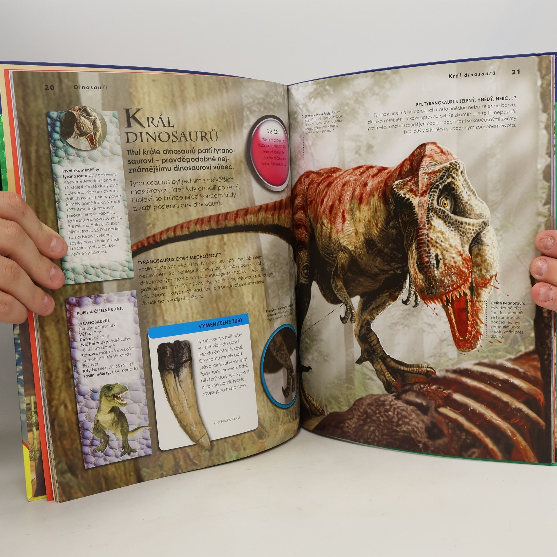 Autorenkollektiv Dinosauři