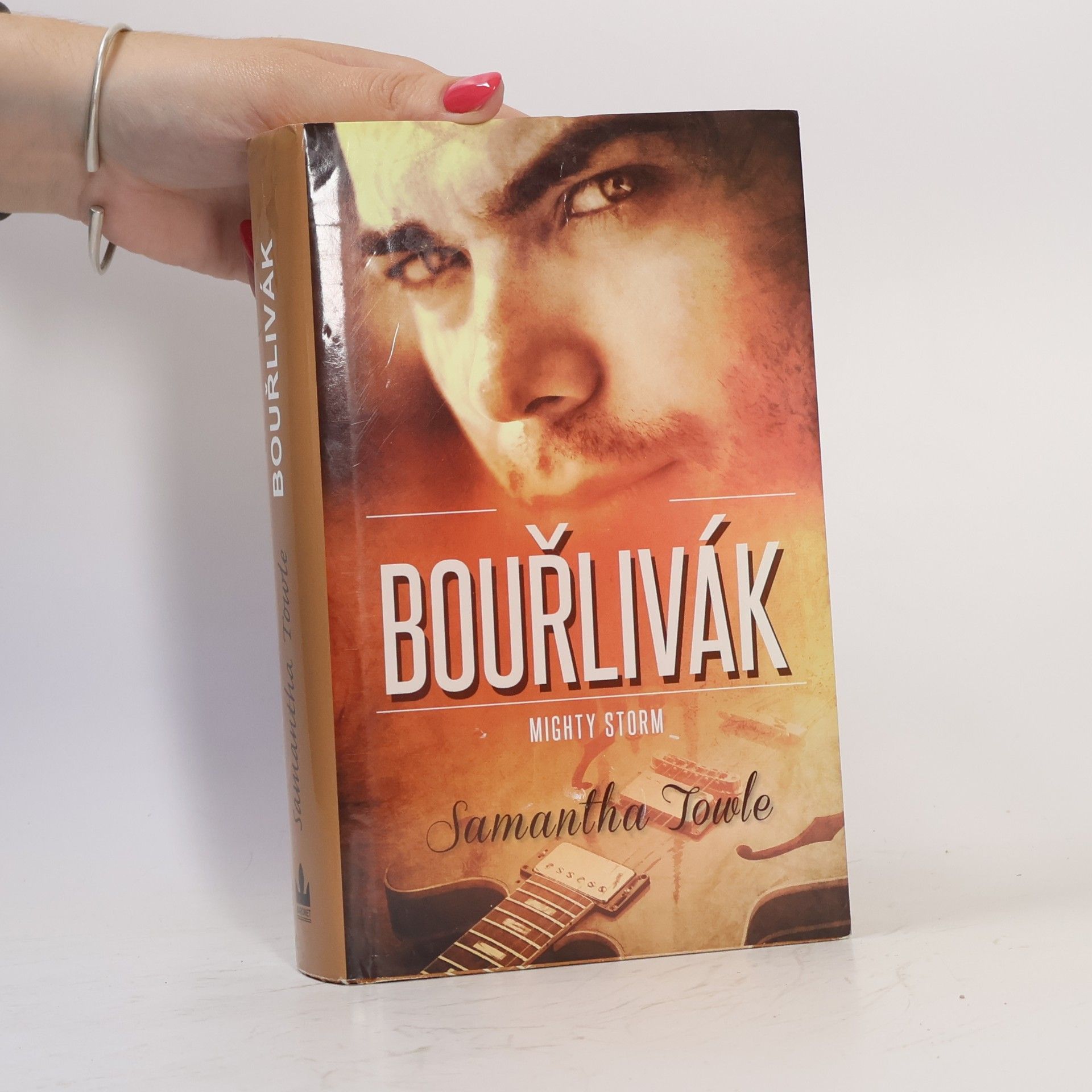 Samantha Towle Bouřlivák. Mighty Storm 1