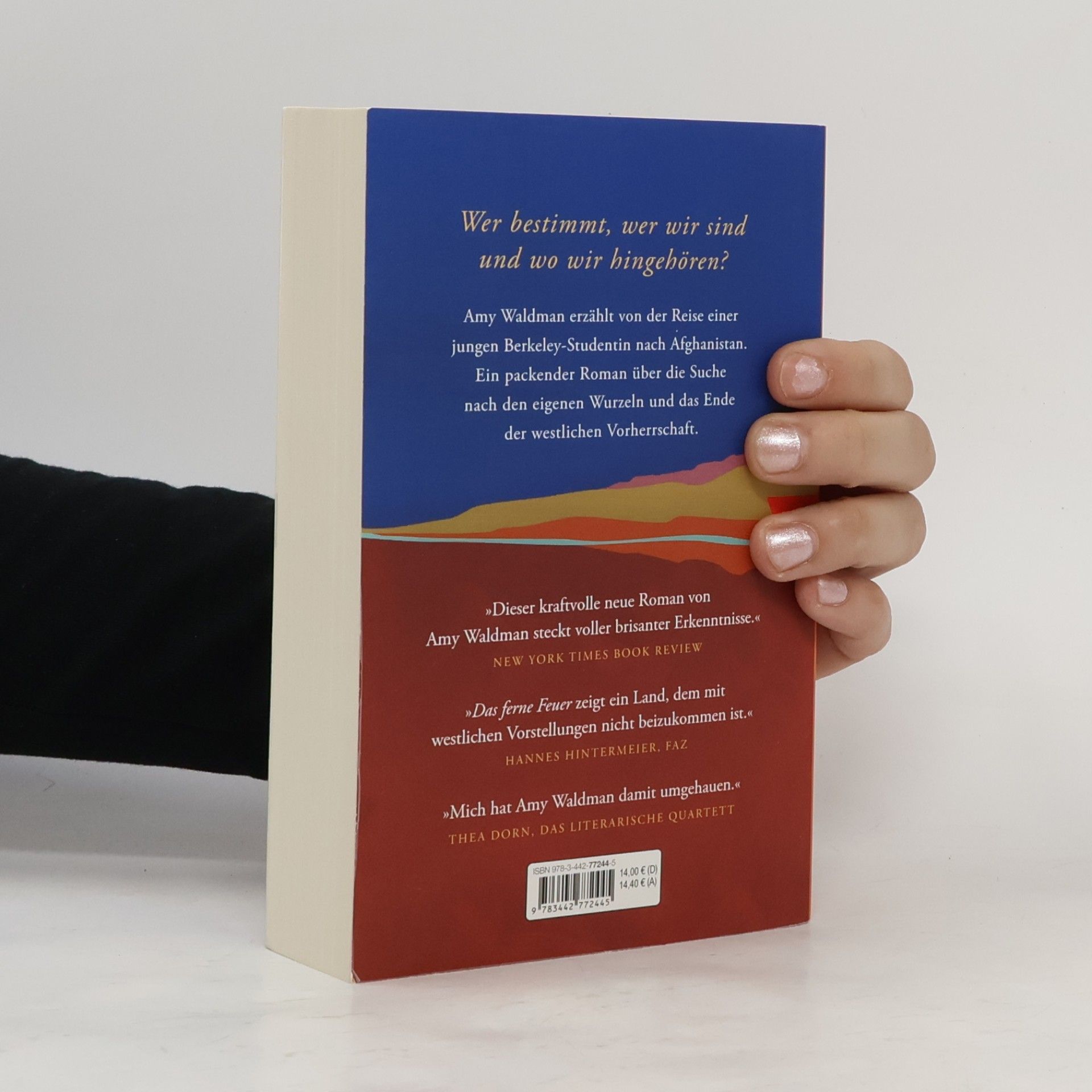 Amy Waldman Das ferne Feuer
