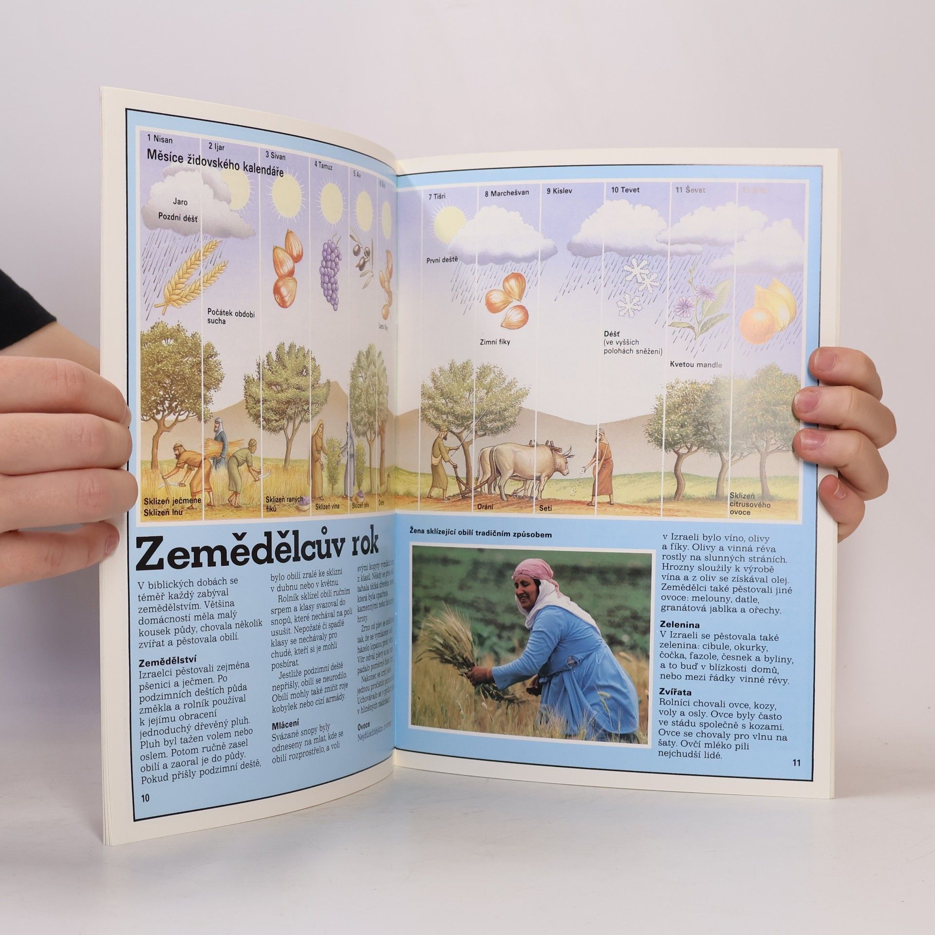 Tim Dowley Školní průvodce Biblí
