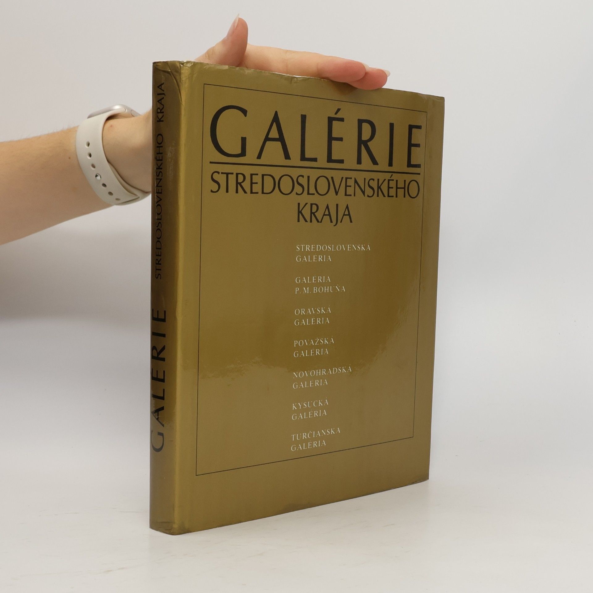 Július Alberty Galérie stredoslovenského kraja