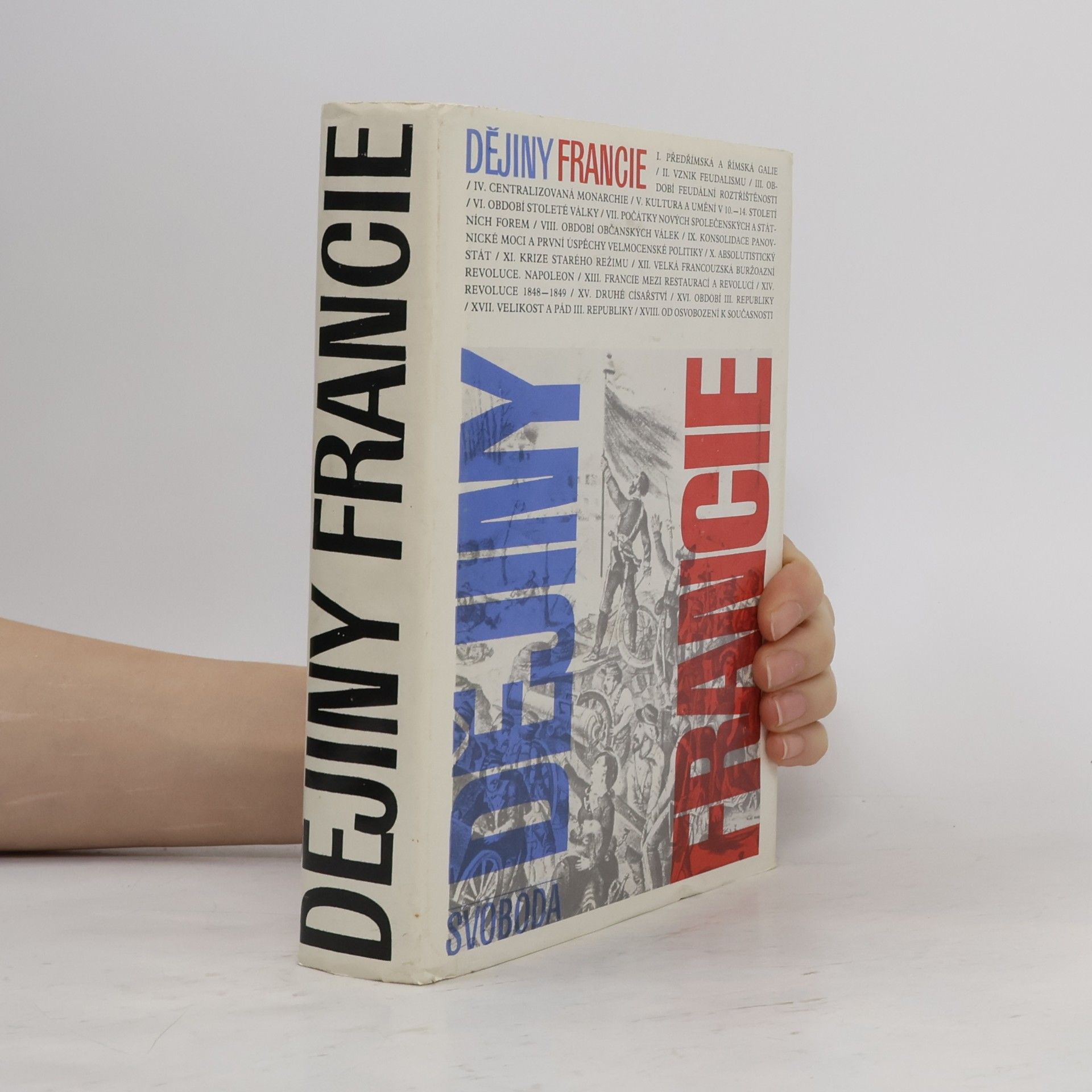 Kolektiv autorů Dějiny Francie