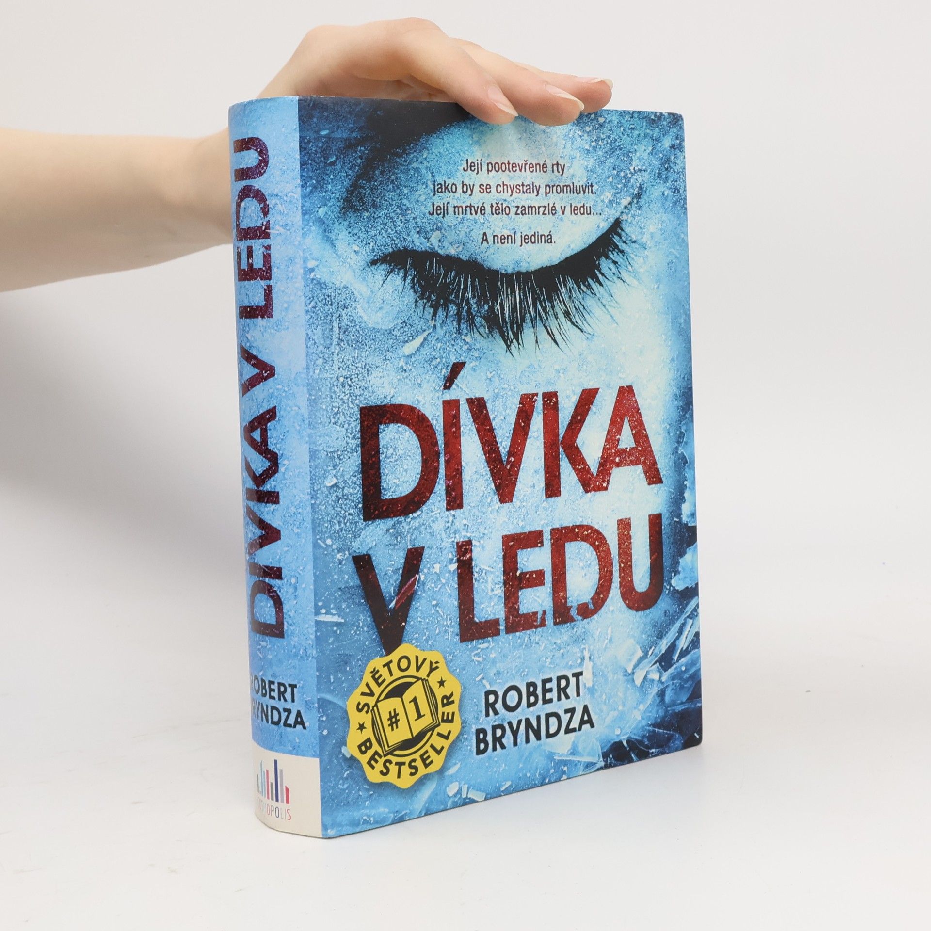 Robert Bryndza Dívka v ledu