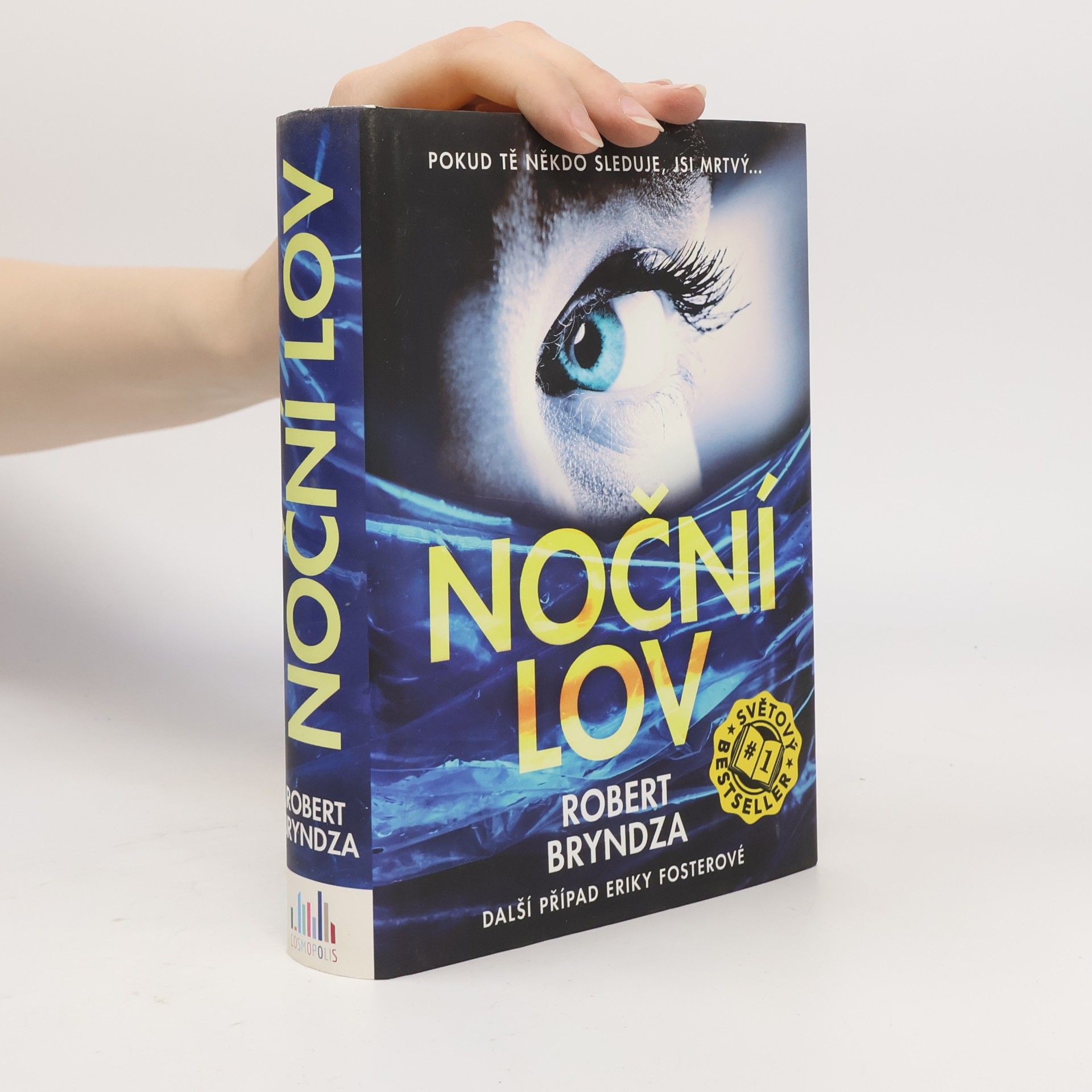 Robert Bryndza Noční lov