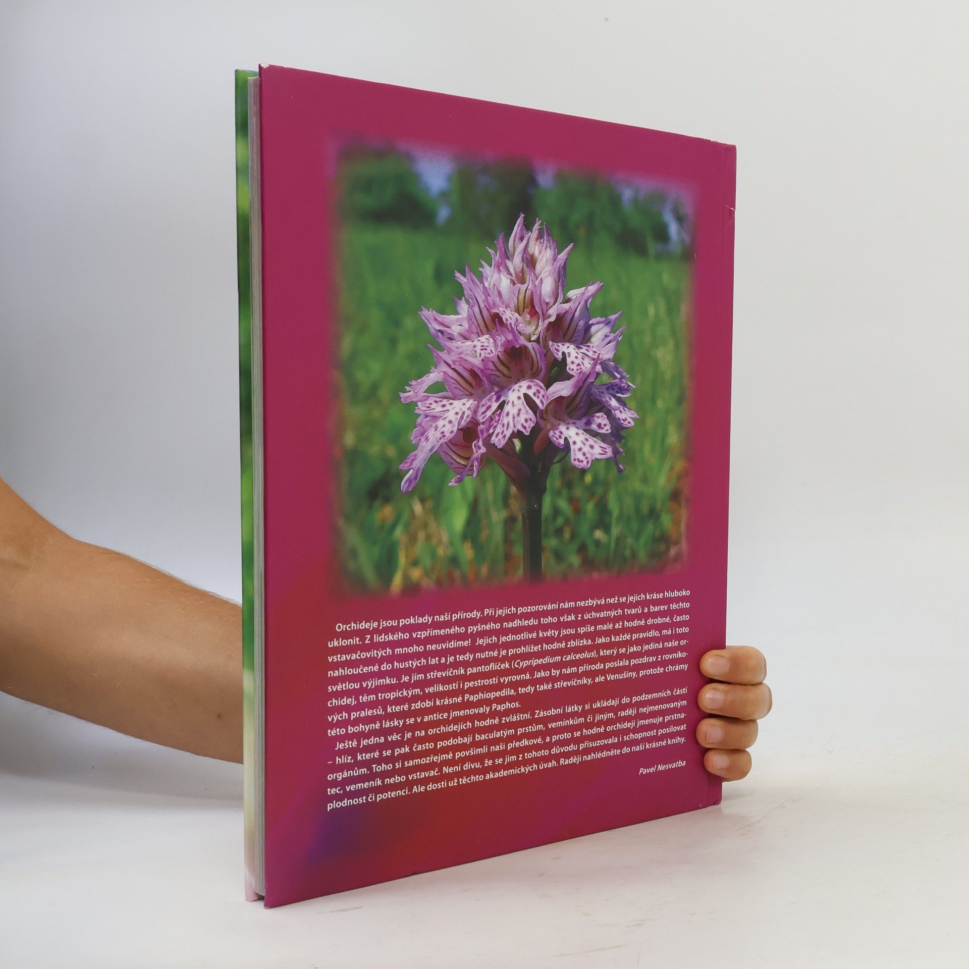Vlastimil Martiško Krásy orchidejí Jihomoravského kraje