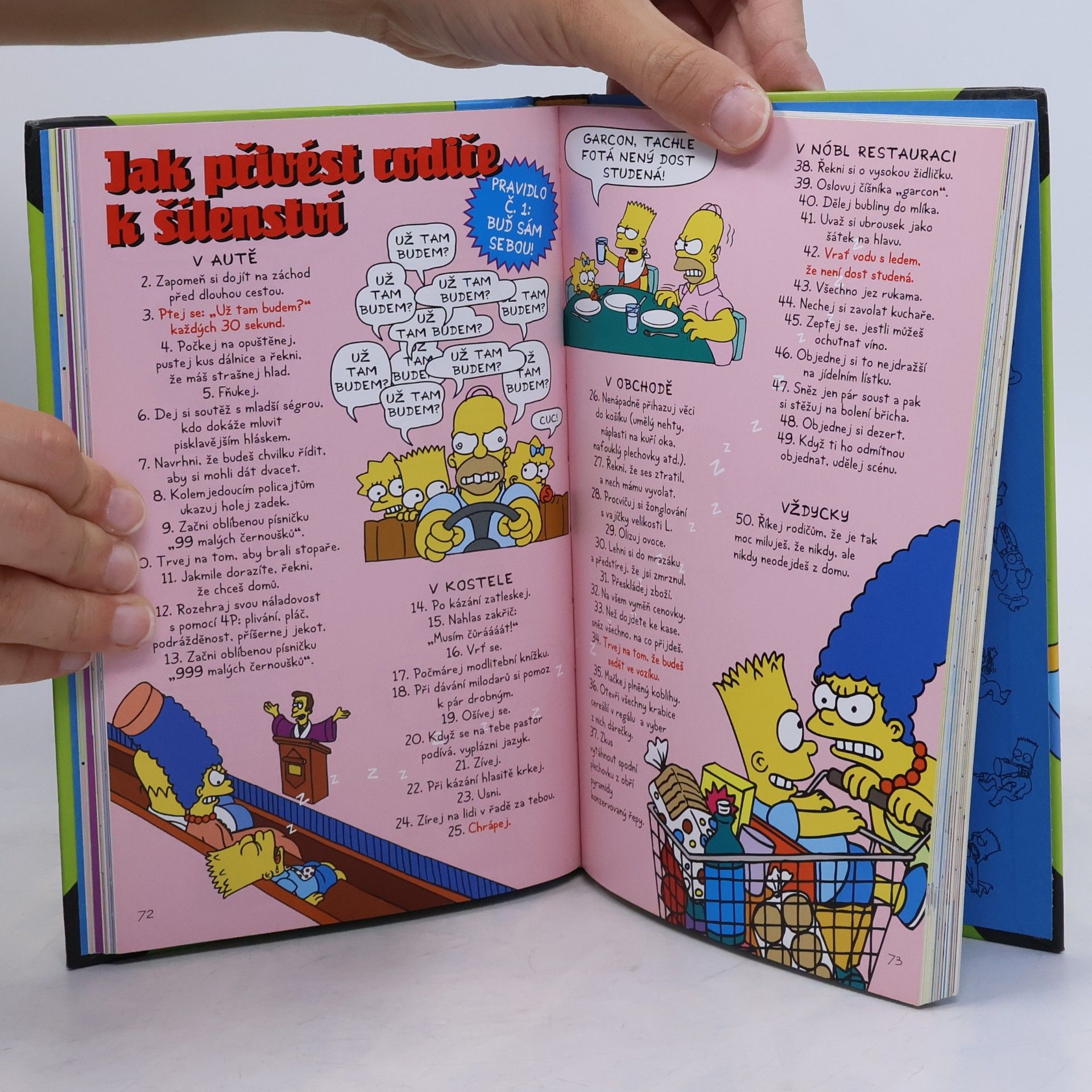 Matt Groening Bart Simpson: Průvodce životem