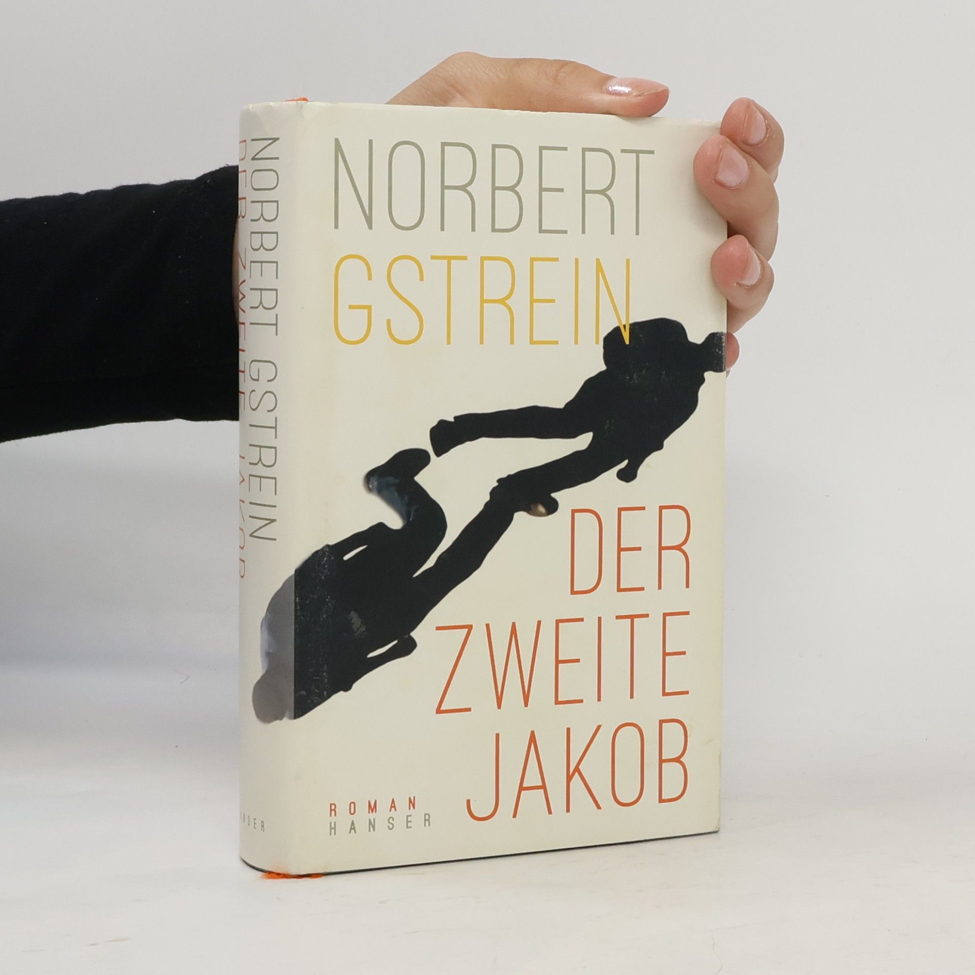 Norbert Gstrein Der zweite Jakob
