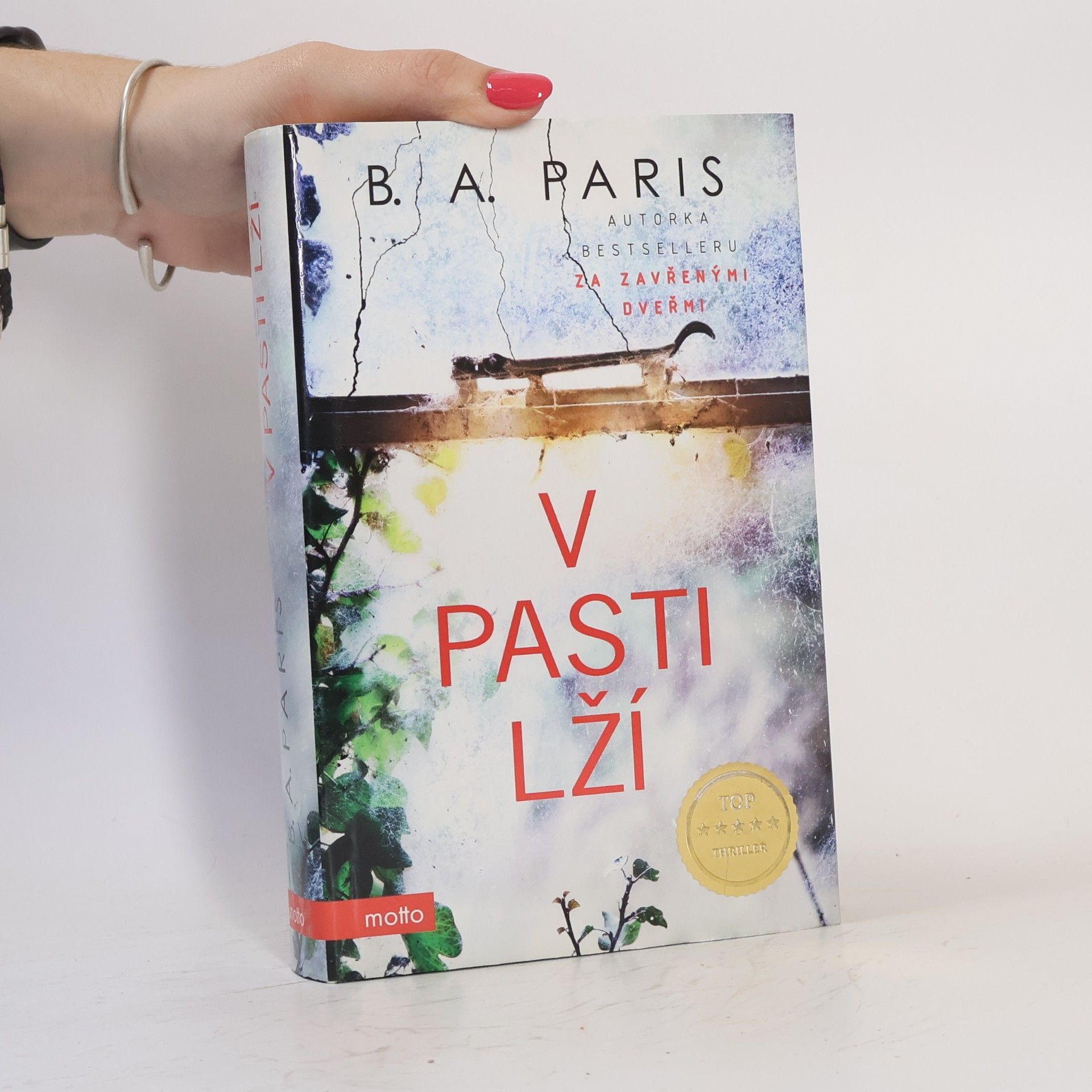 B.A. Paris V pasti lží