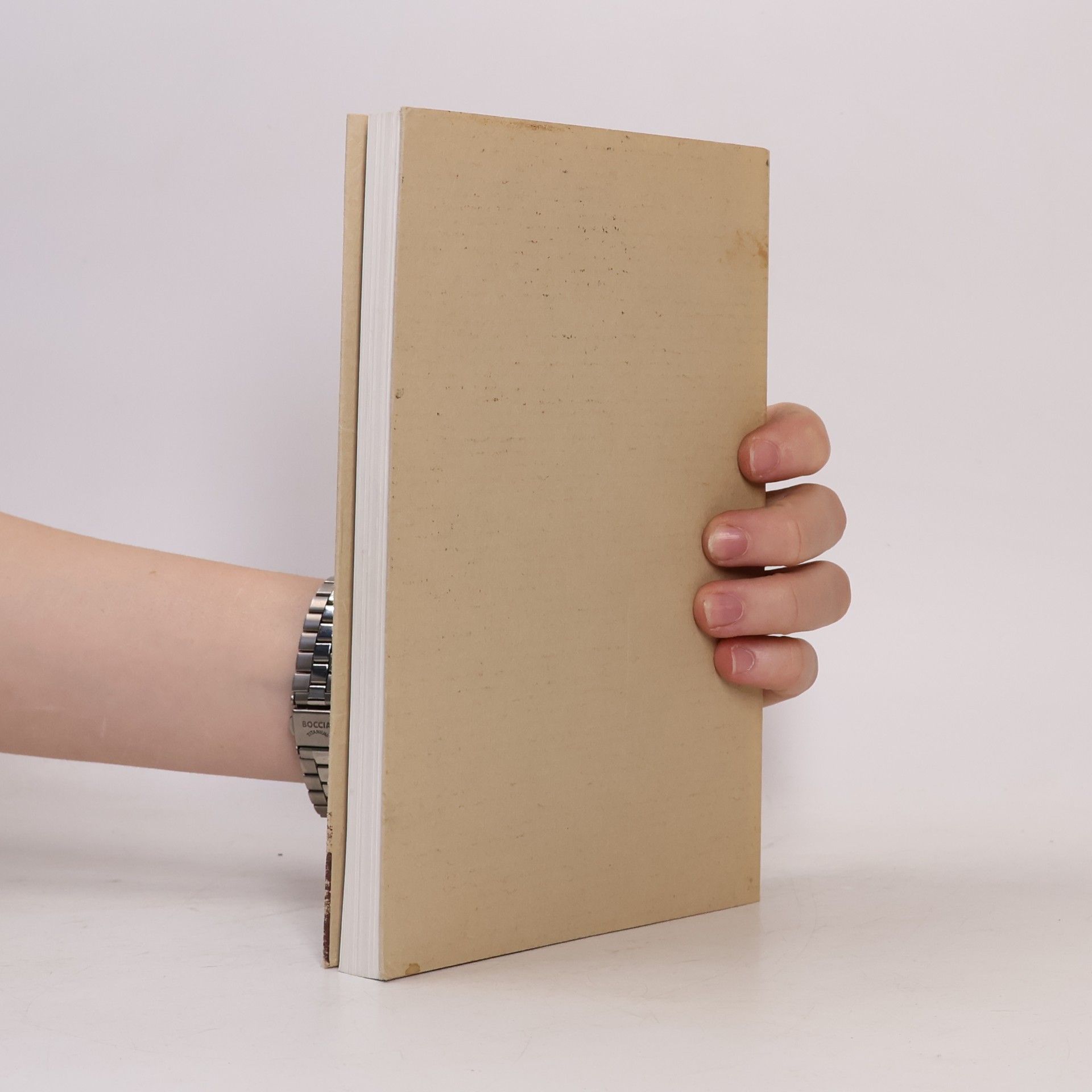 Collectif d'auteurs Litomyšl. Duchovní tvář českého města