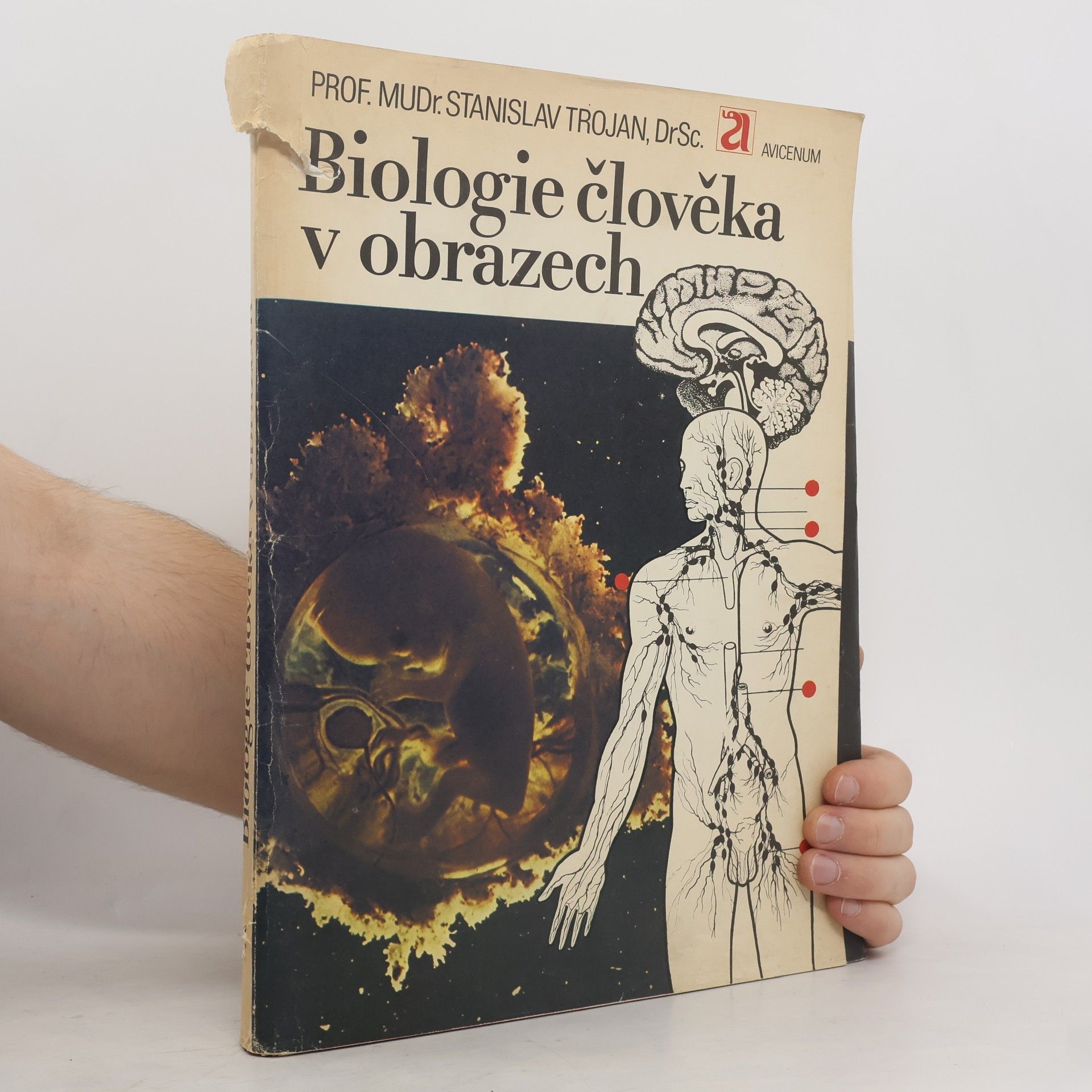Biologie člověka v obrazech