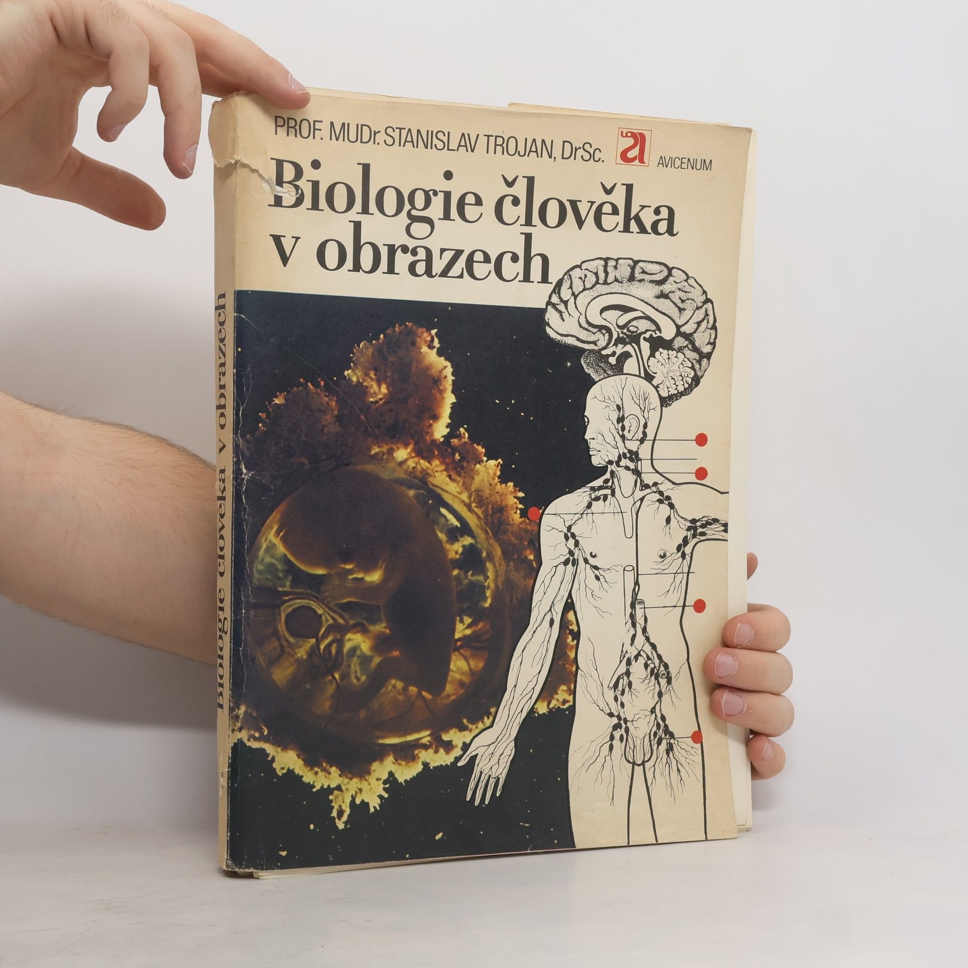 Stanislav Trojan Biologie člověka v obrazech