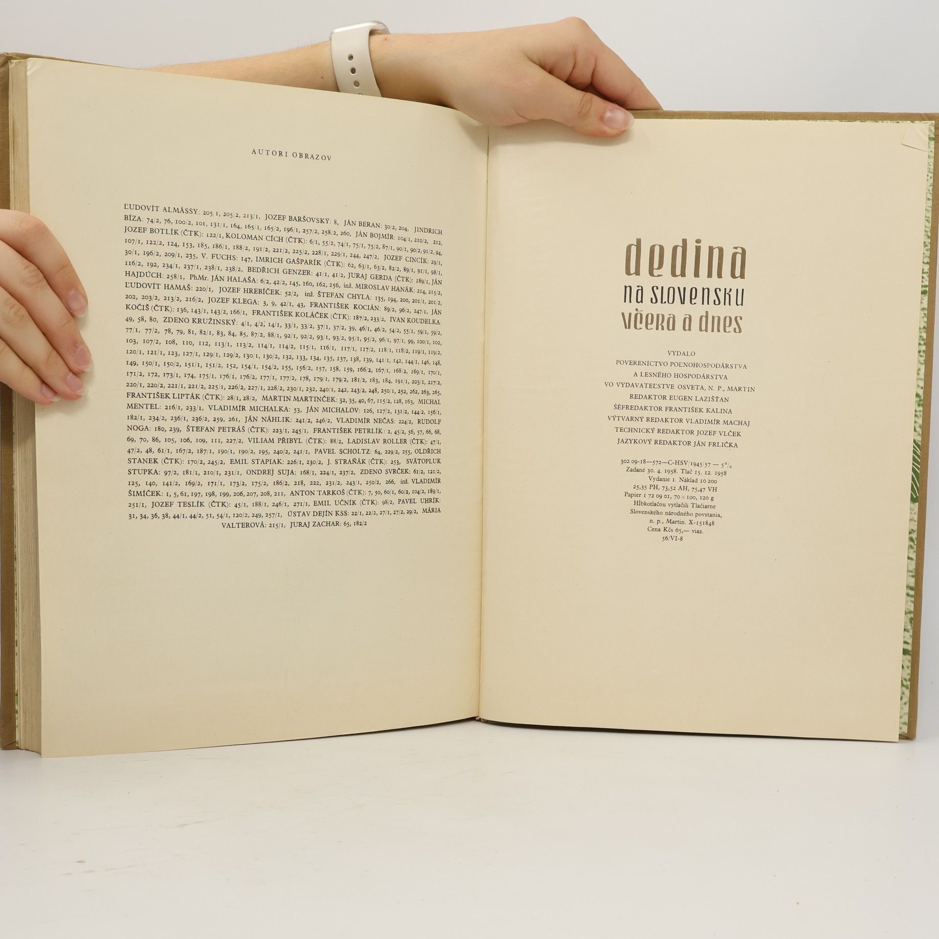 Various authors Dedina na Slovensku včera a dnes