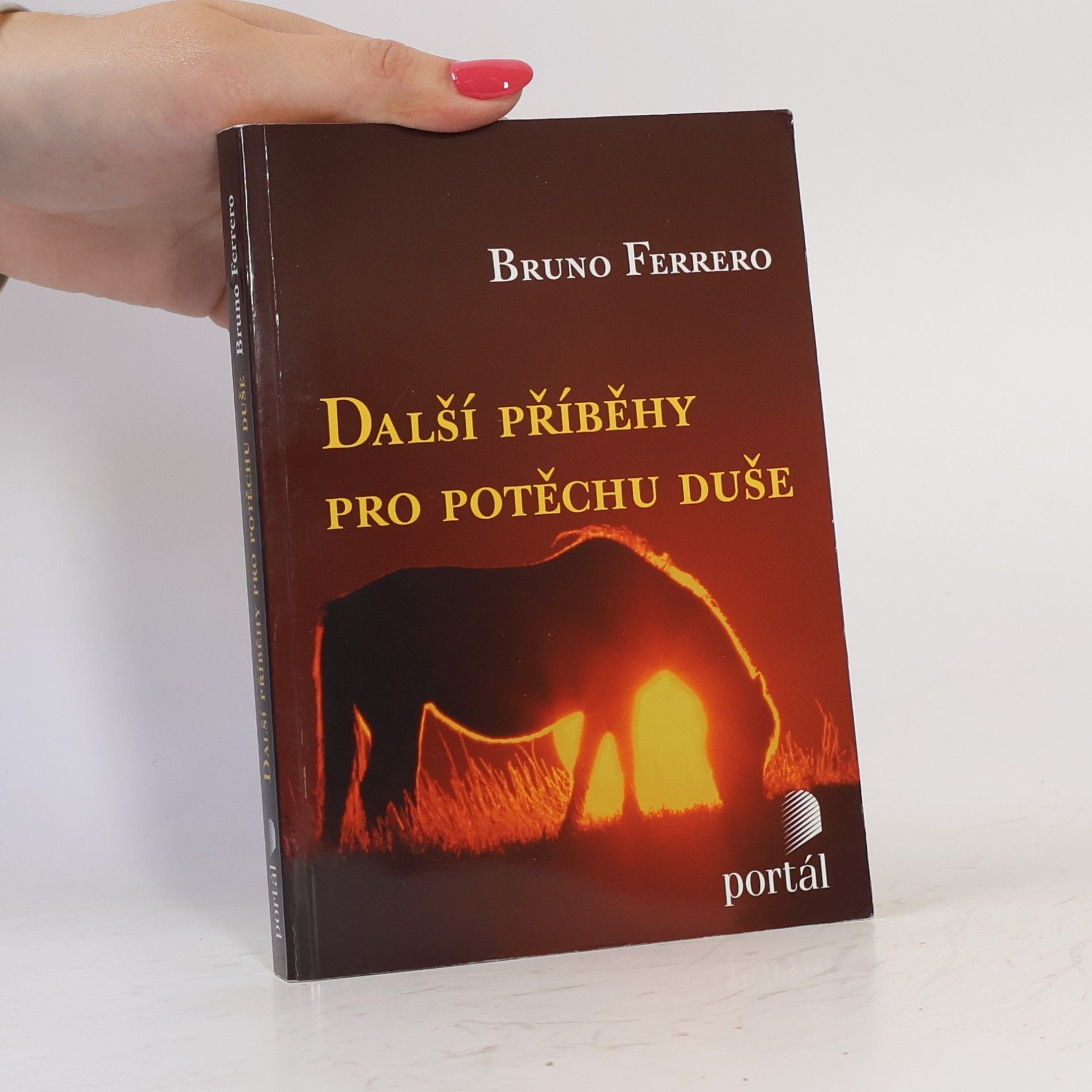 Bruno Ferrero Další příběhy pro potěchu duše