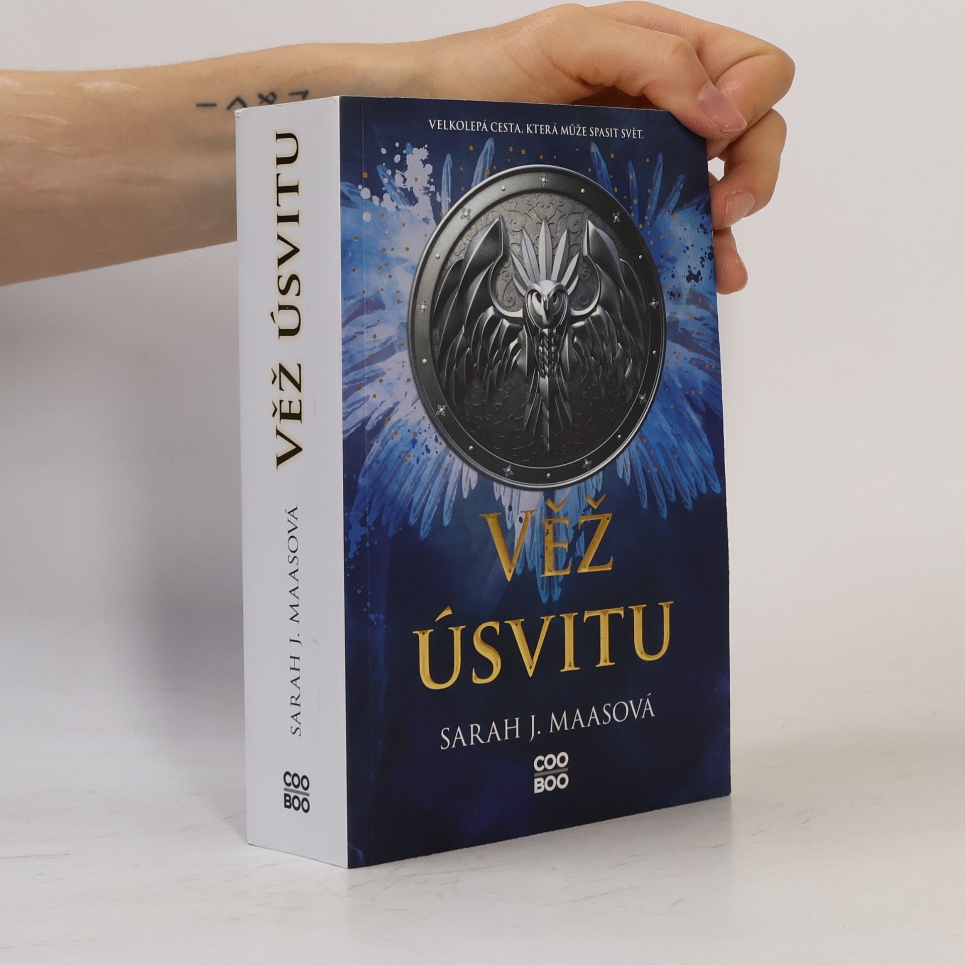 Sarah J. Maas Věž úsvitu