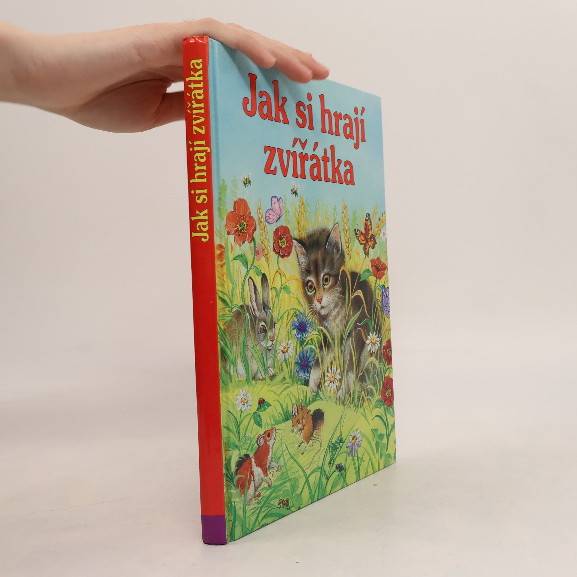 Collectif d'auteurs Jak si hrají zvířátka
