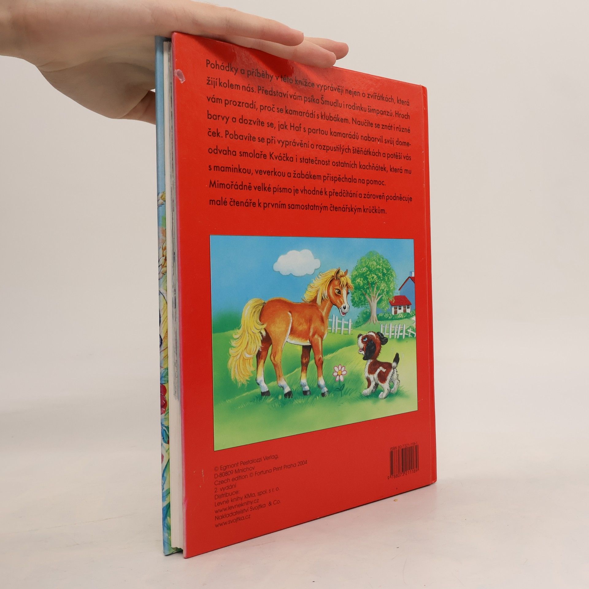 Collectif d'auteurs Jak si hrají zvířátka