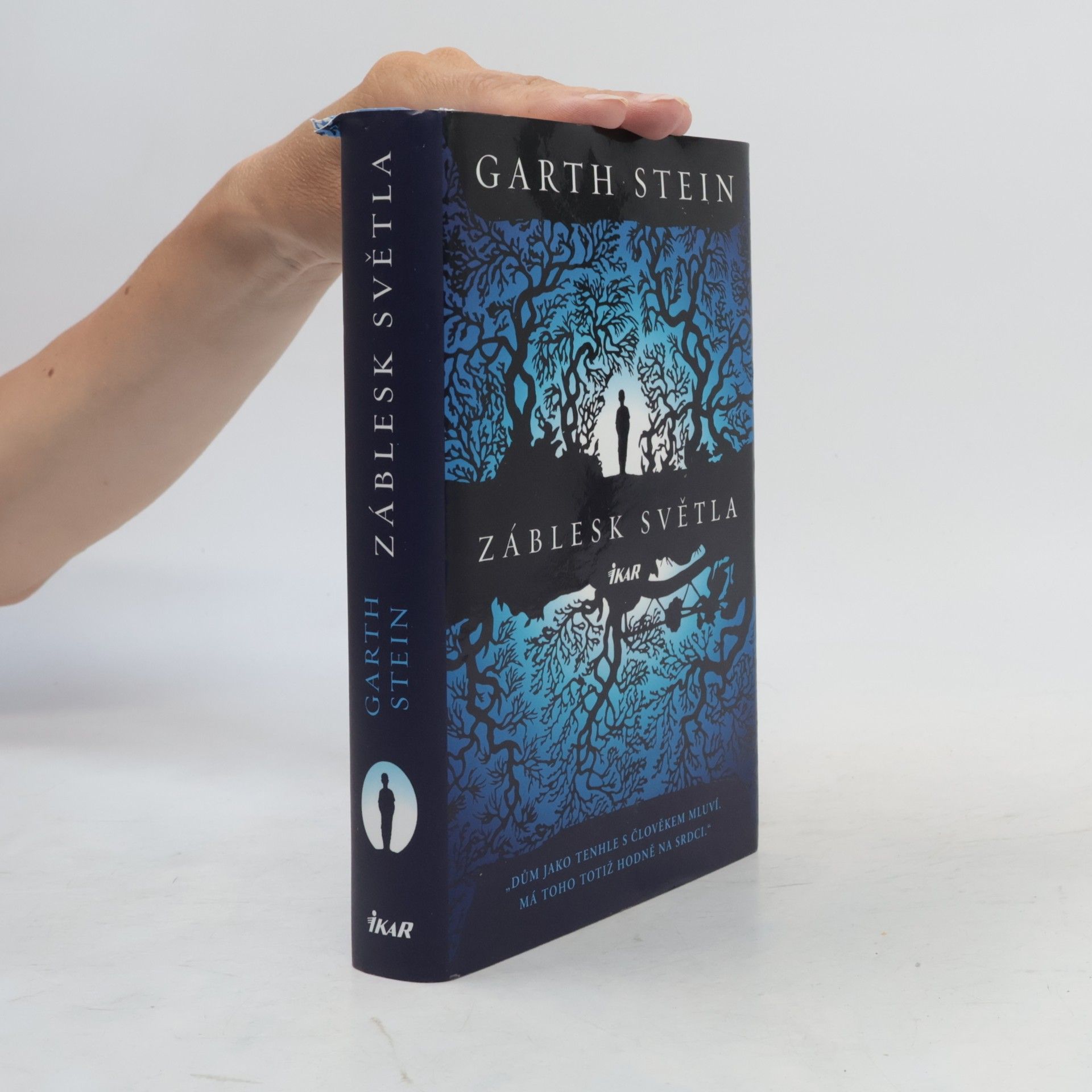 Garth Stein Záblesk světla