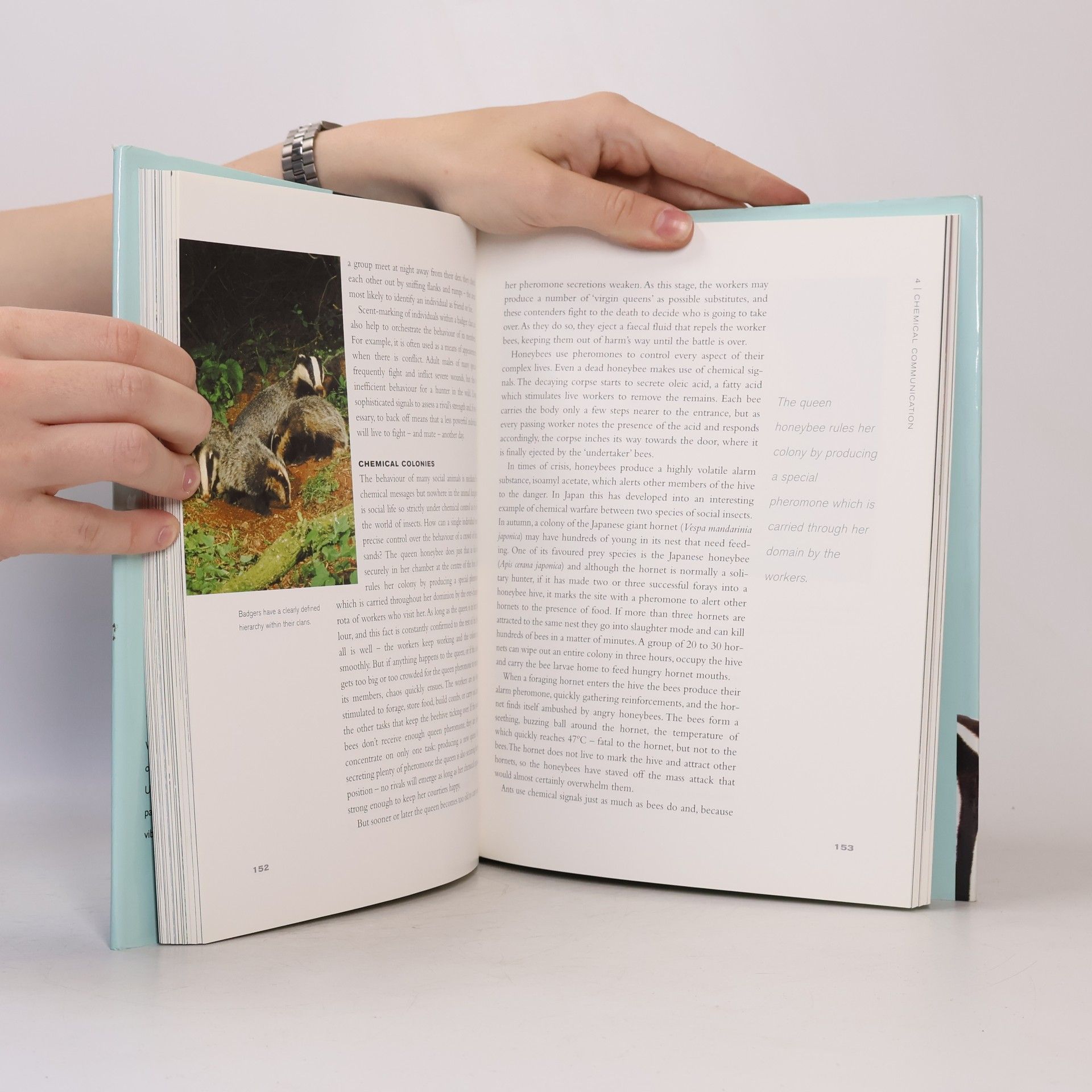 Charlotte Uhlenbroek Talking with Animals