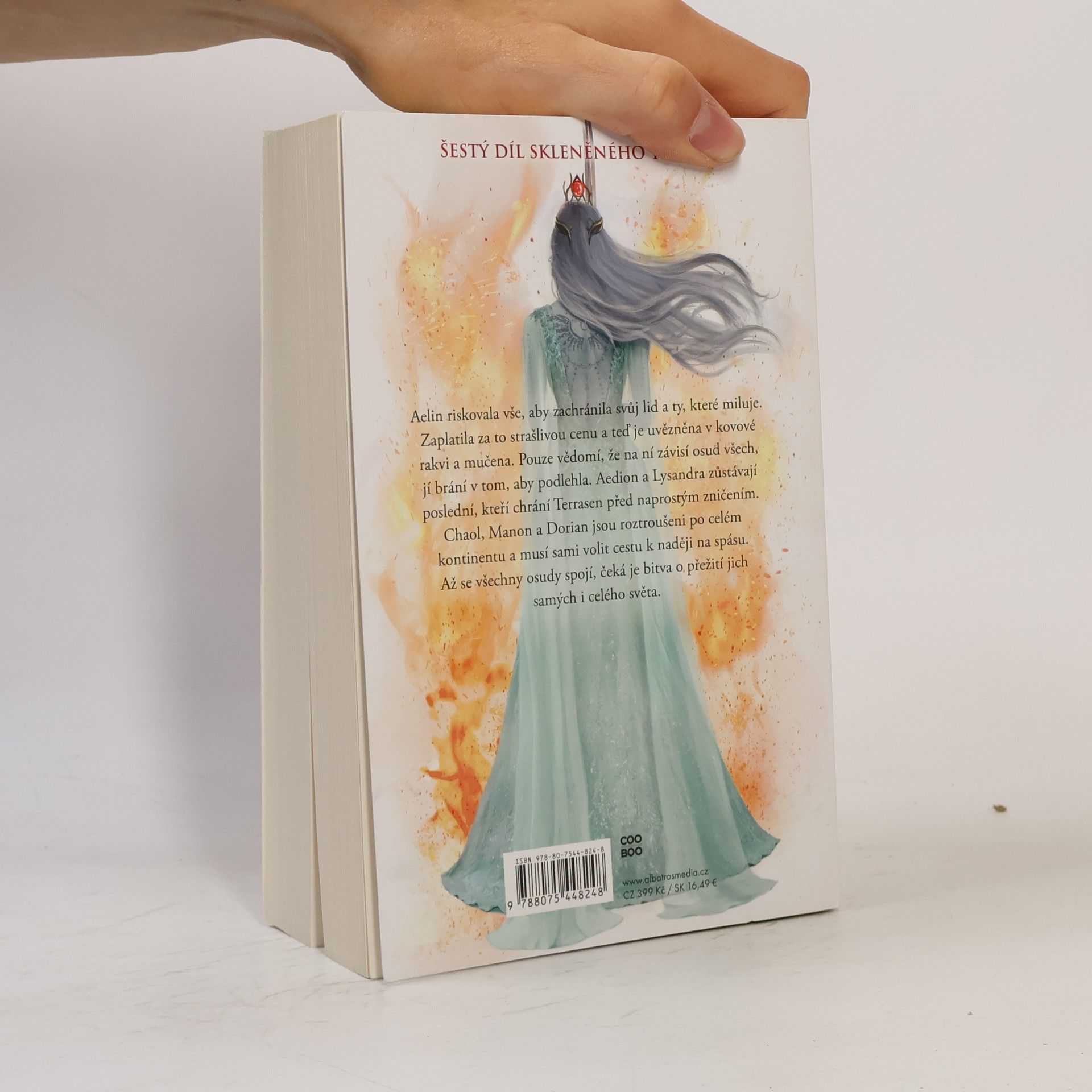 Sarah J. Maas Království popela