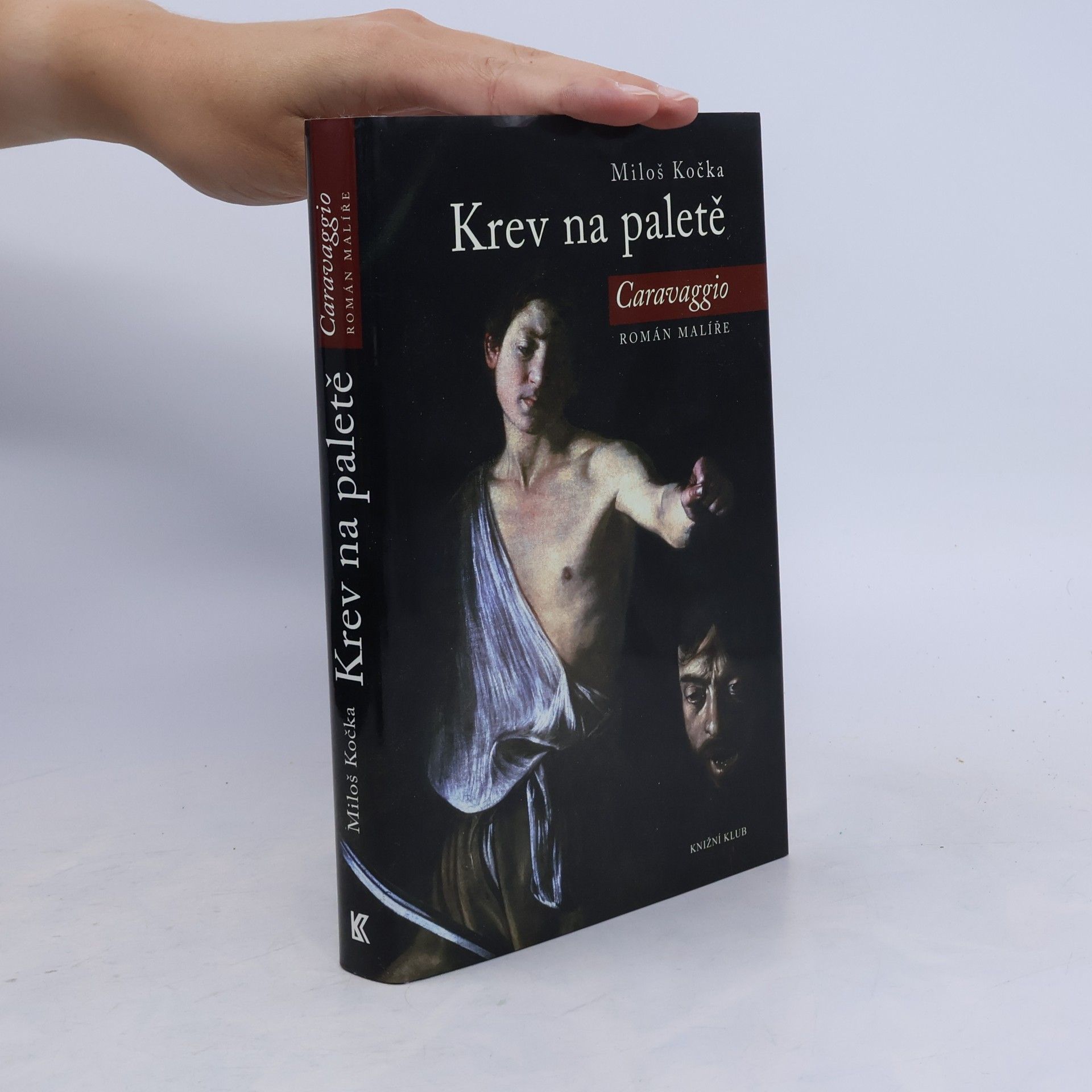 Miloš Kočka Krev na paletě