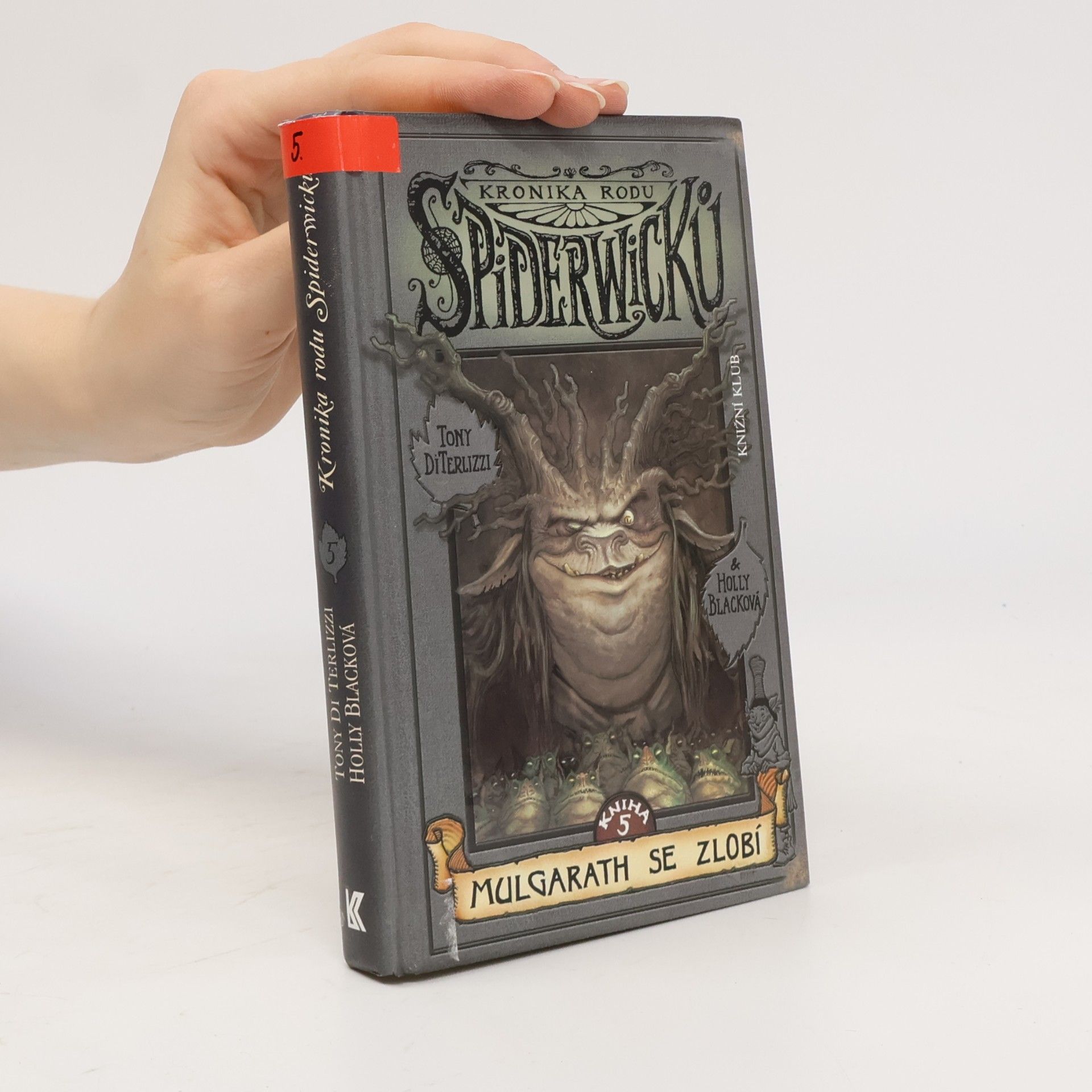 Tony DiTerlizzi Kronika rodu Spiderwicků. Kniha 5, Mulgarath se zlobí