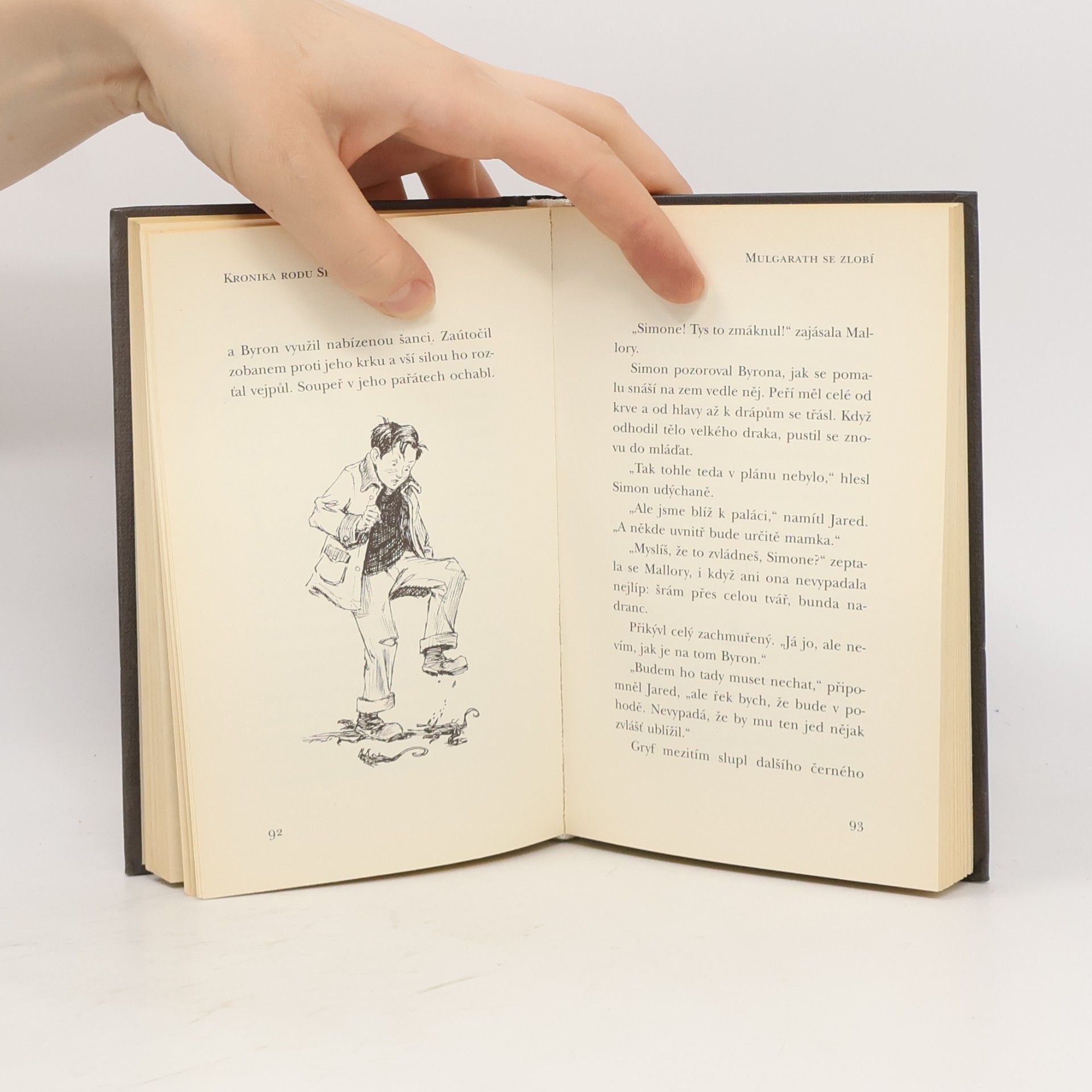 Tony DiTerlizzi Kronika rodu Spiderwicků. Kniha 5, Mulgarath se zlobí
