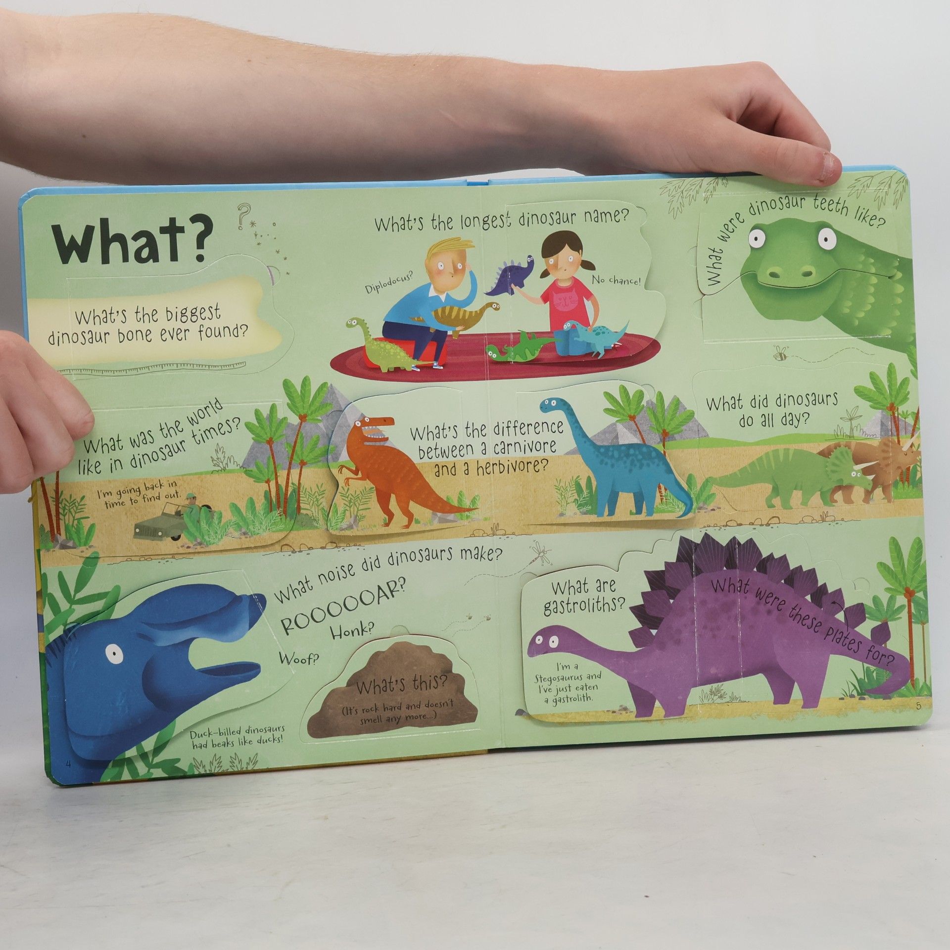 Katie Daynes Questions and answers about dinosaurs
