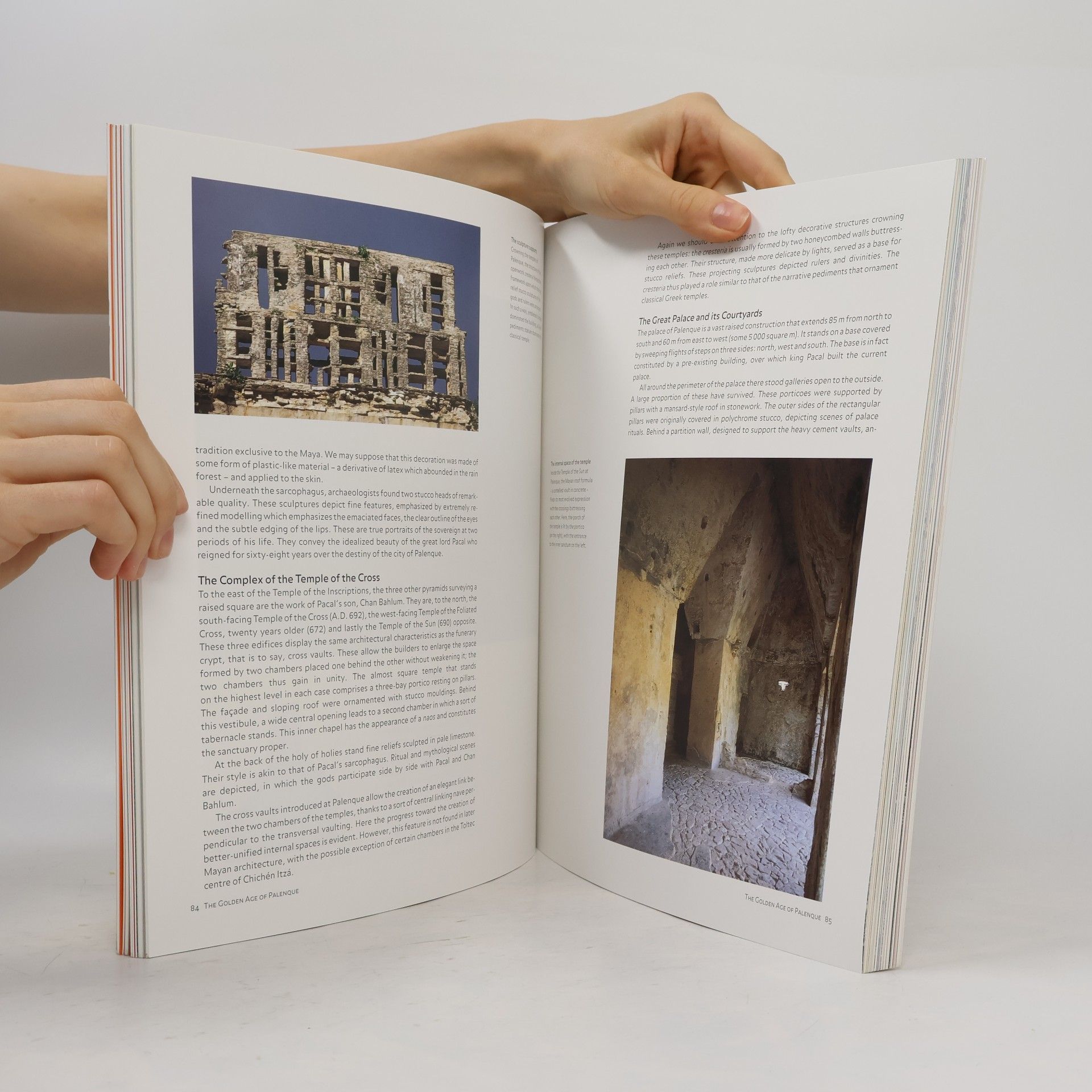 Henri Stierlin The Maya : palaces and pyramids of the rainforest
