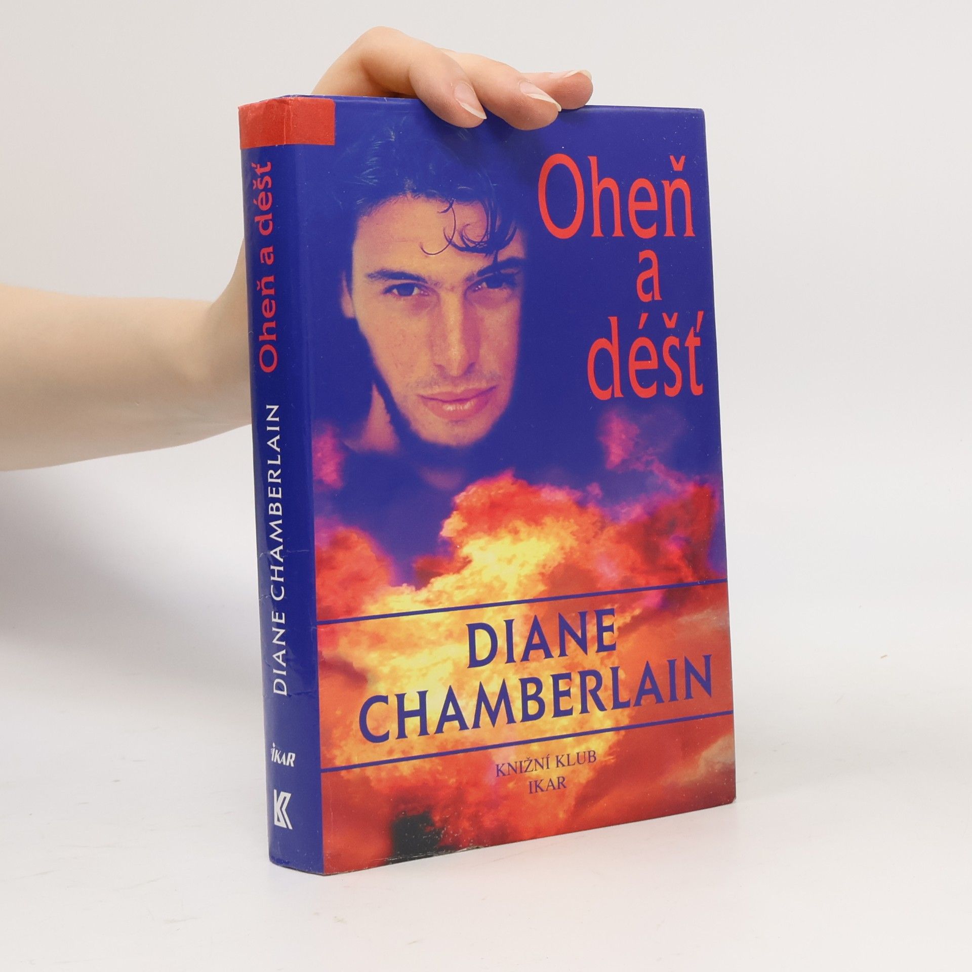 Diane Chamberlain Oheň a déšť