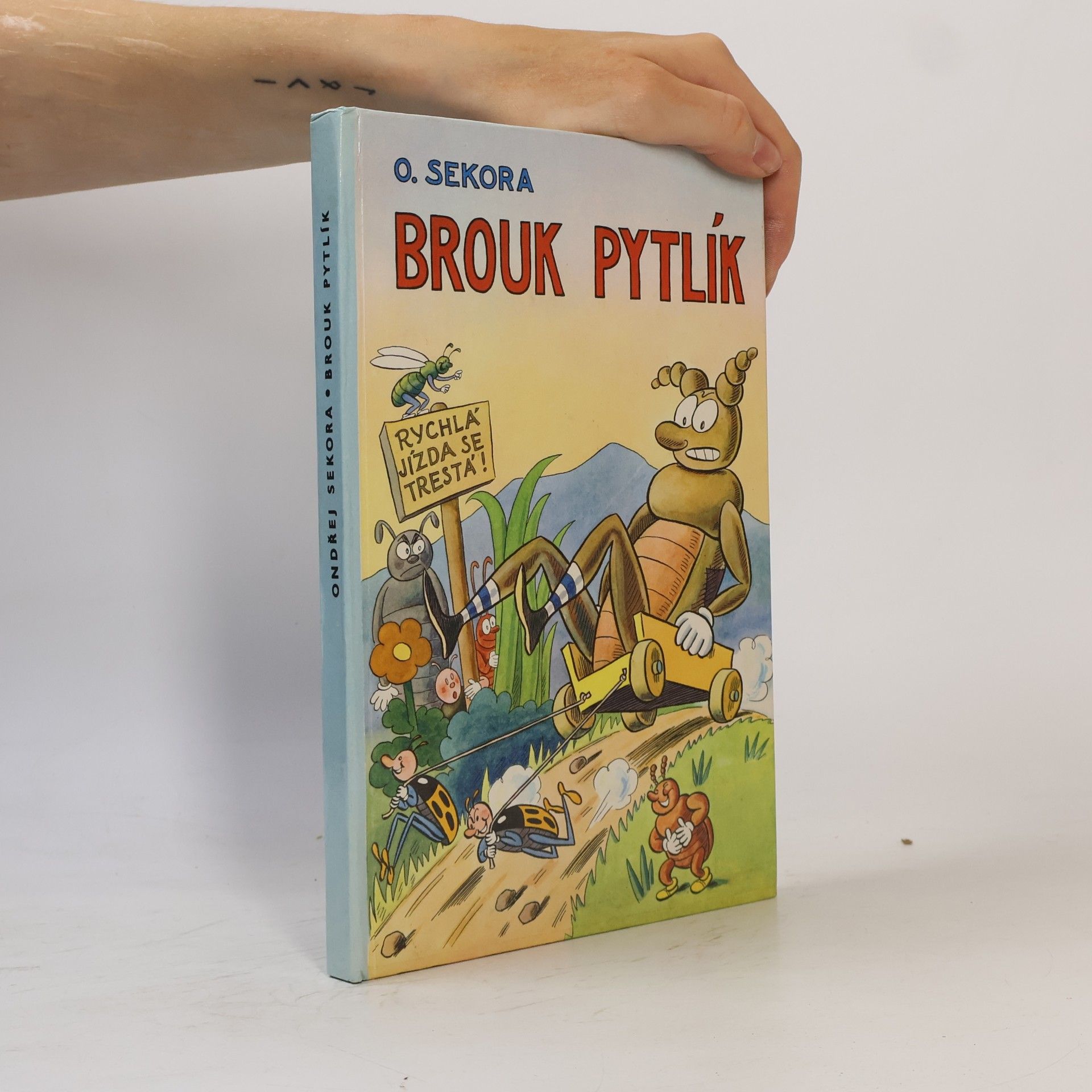 Brouk Pytlík