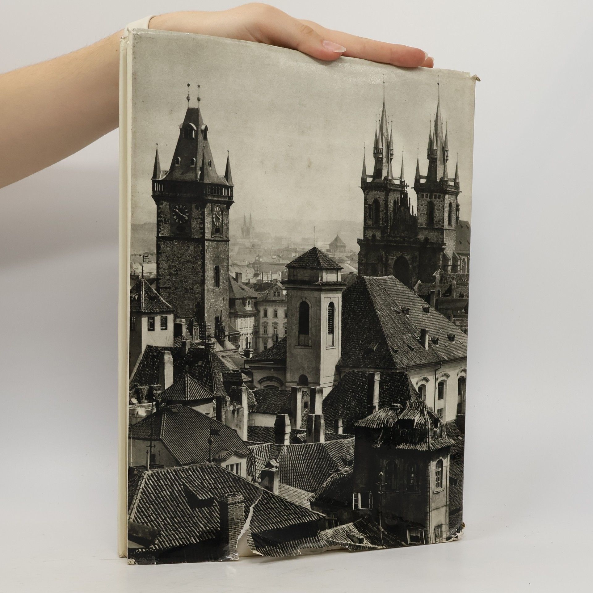Karel Plicka Praha ve fotografii