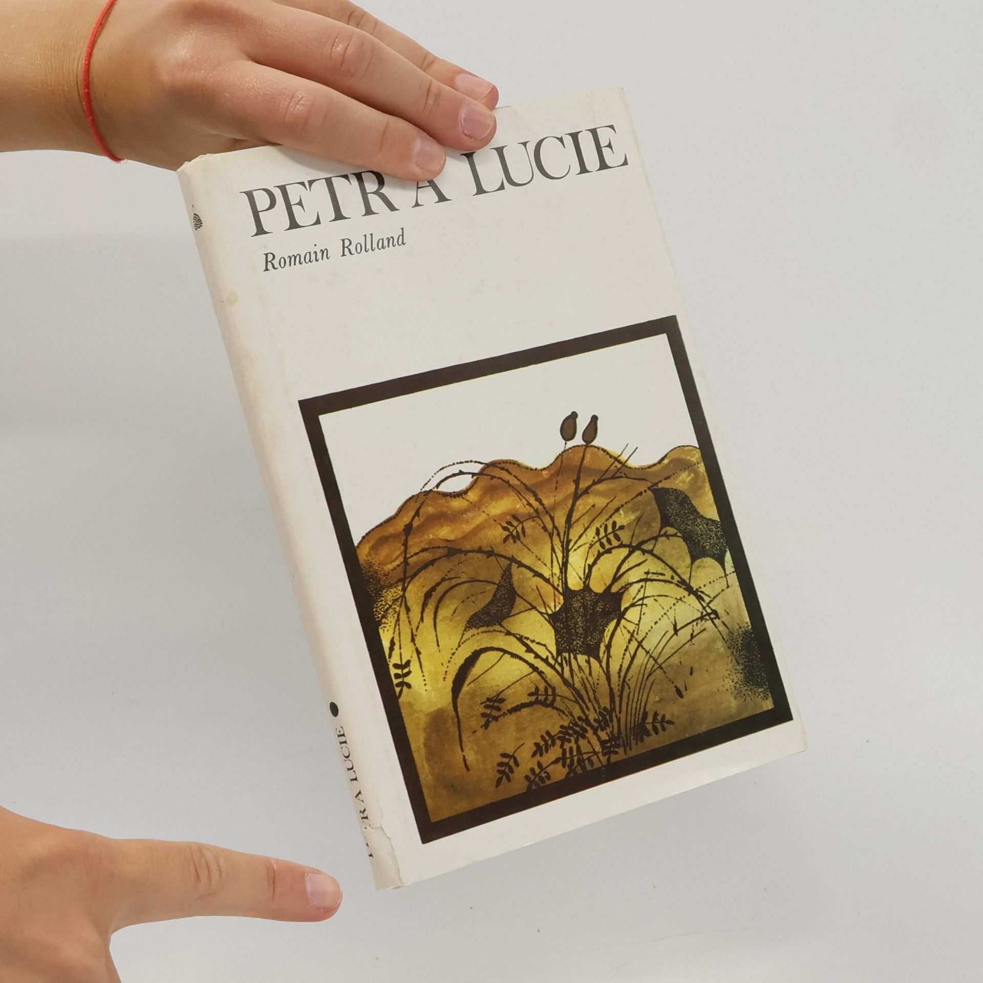 Romain Rolland Petr a Lucie
